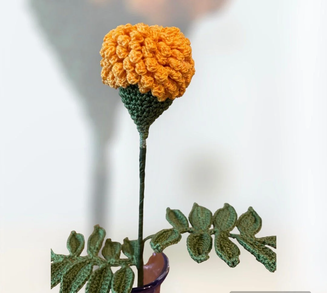 https://i.etsystatic.com/43320253/r/il/e75464/4976986030/il_fullxfull.4976986030_2ebw.jpg