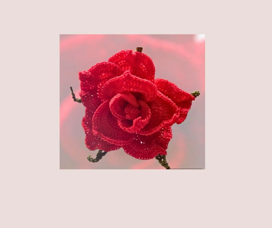 https://i.etsystatic.com/43320253/r/il/f06108/5790110613/il_fullxfull.5790110613_1obm.jpg