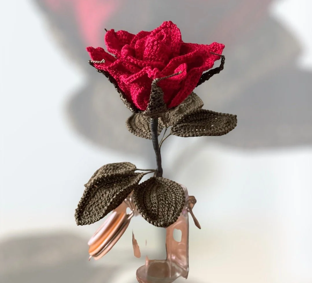 https://i.etsystatic.com/43320253/r/il/c8178c/5025147361/il_fullxfull.5025147361_r6q8.jpg