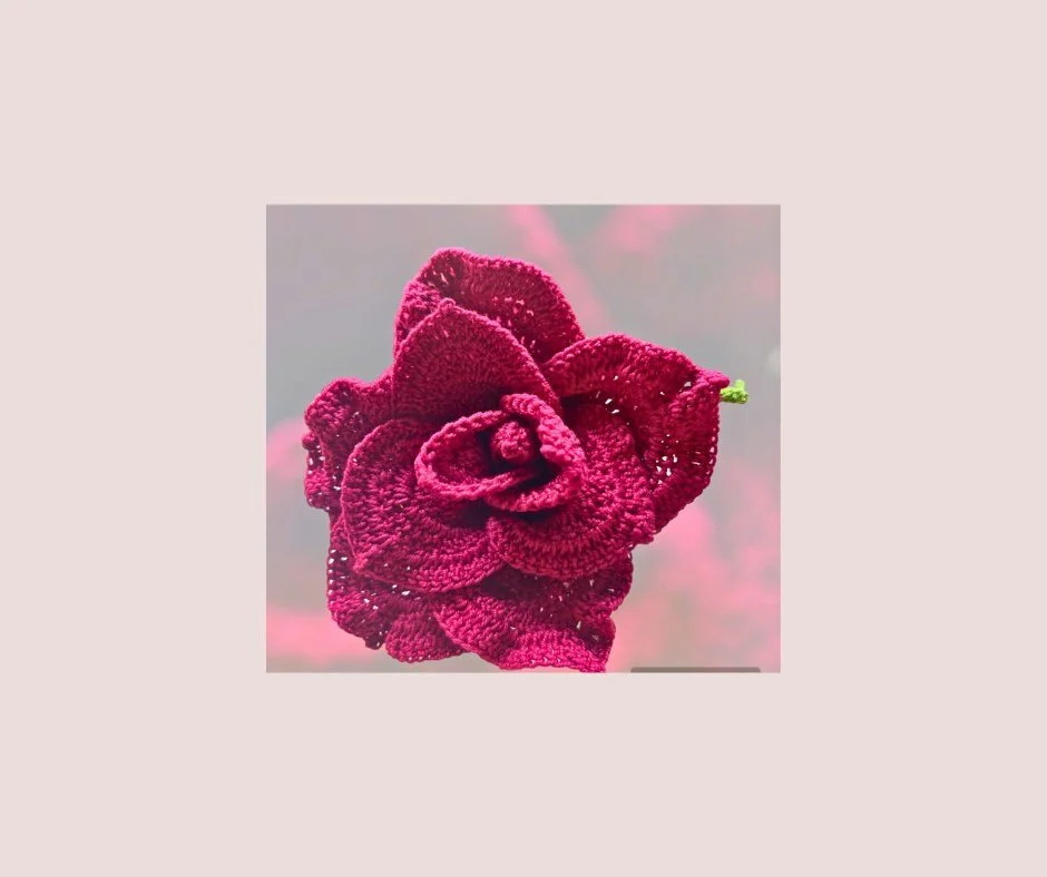https://i.etsystatic.com/43320253/r/il/587eb1/5742037588/il_fullxfull.5742037588_qjm1.jpg