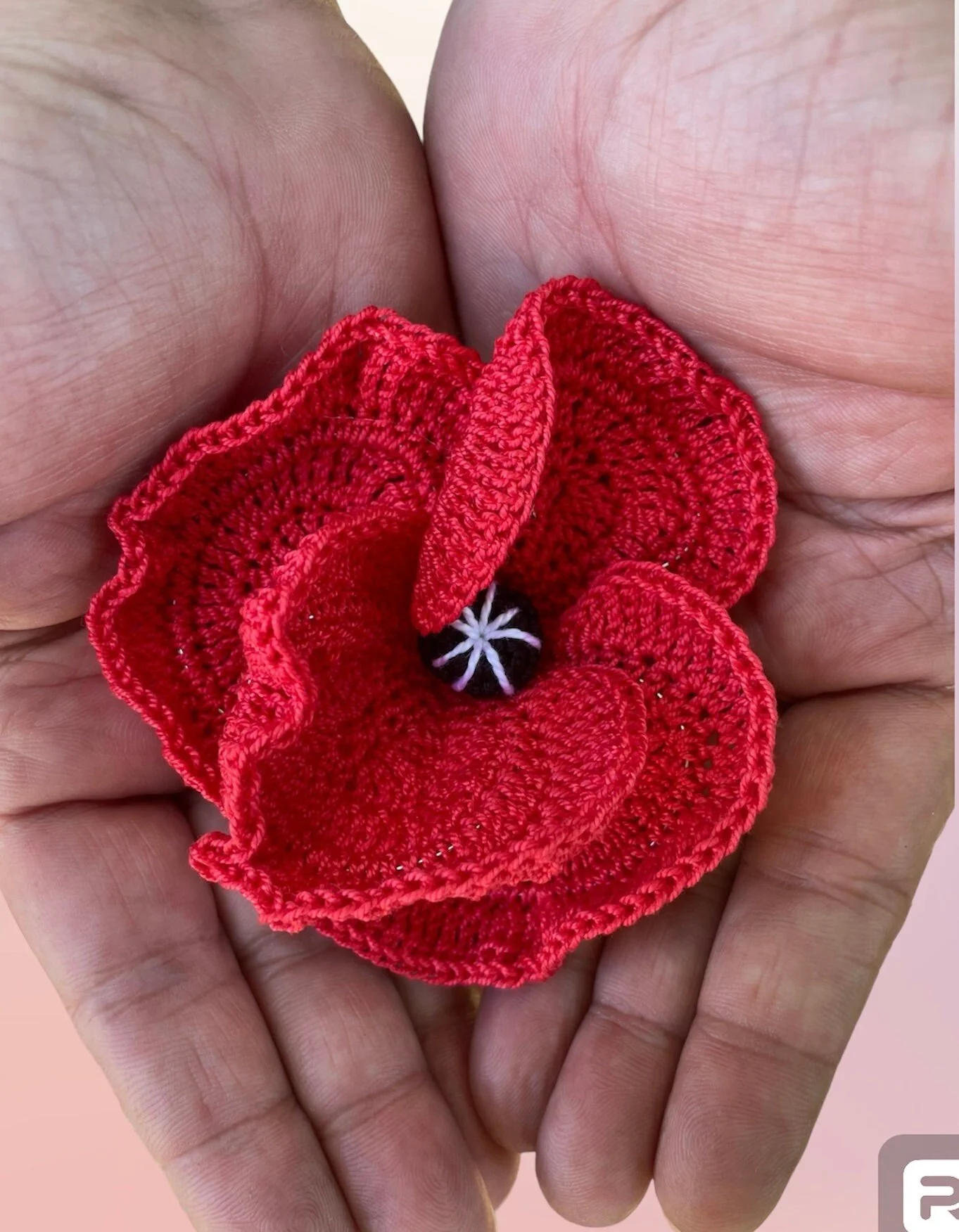 https://i.etsystatic.com/43320253/r/il/644365/6057411530/il_fullxfull.6057411530_rf0t.jpg