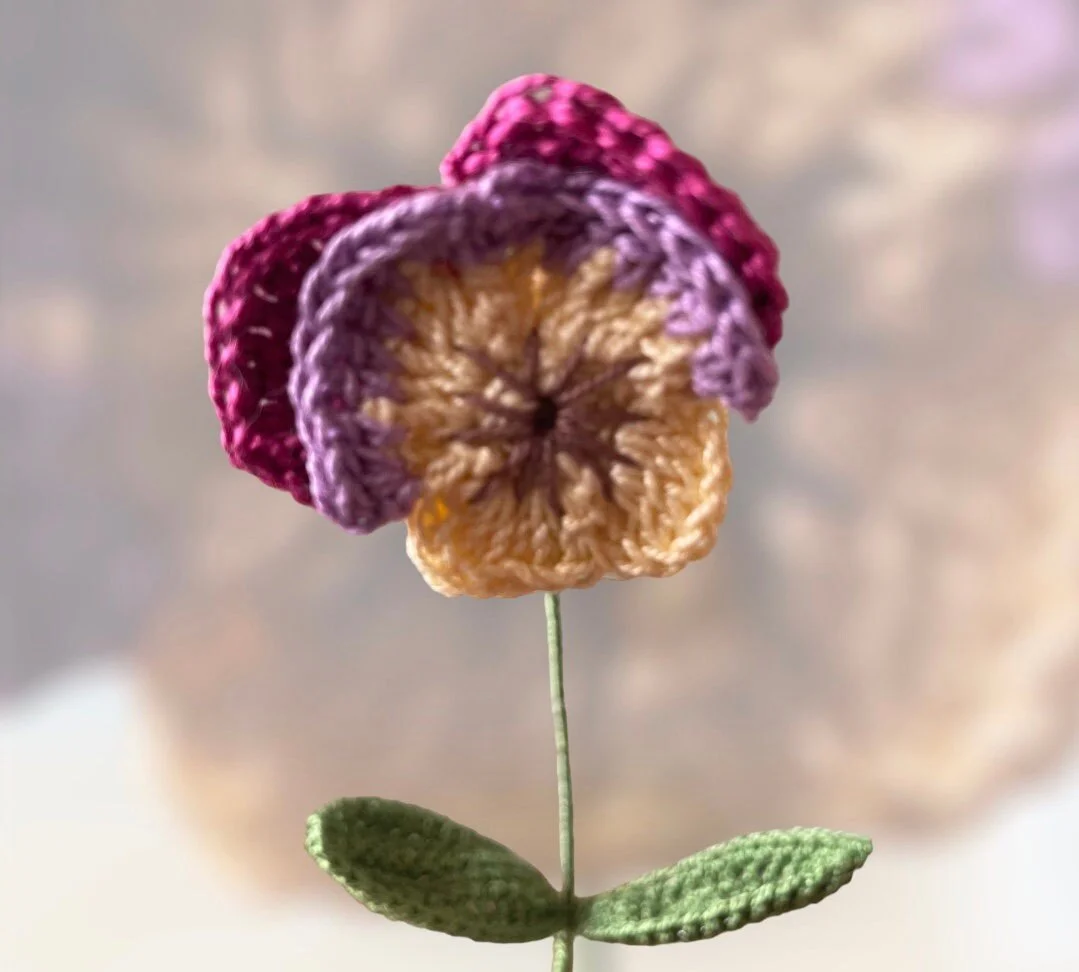 https://i.etsystatic.com/43320253/r/il/8d6f9a/4976736362/il_fullxfull.4976736362_cs6d.jpg