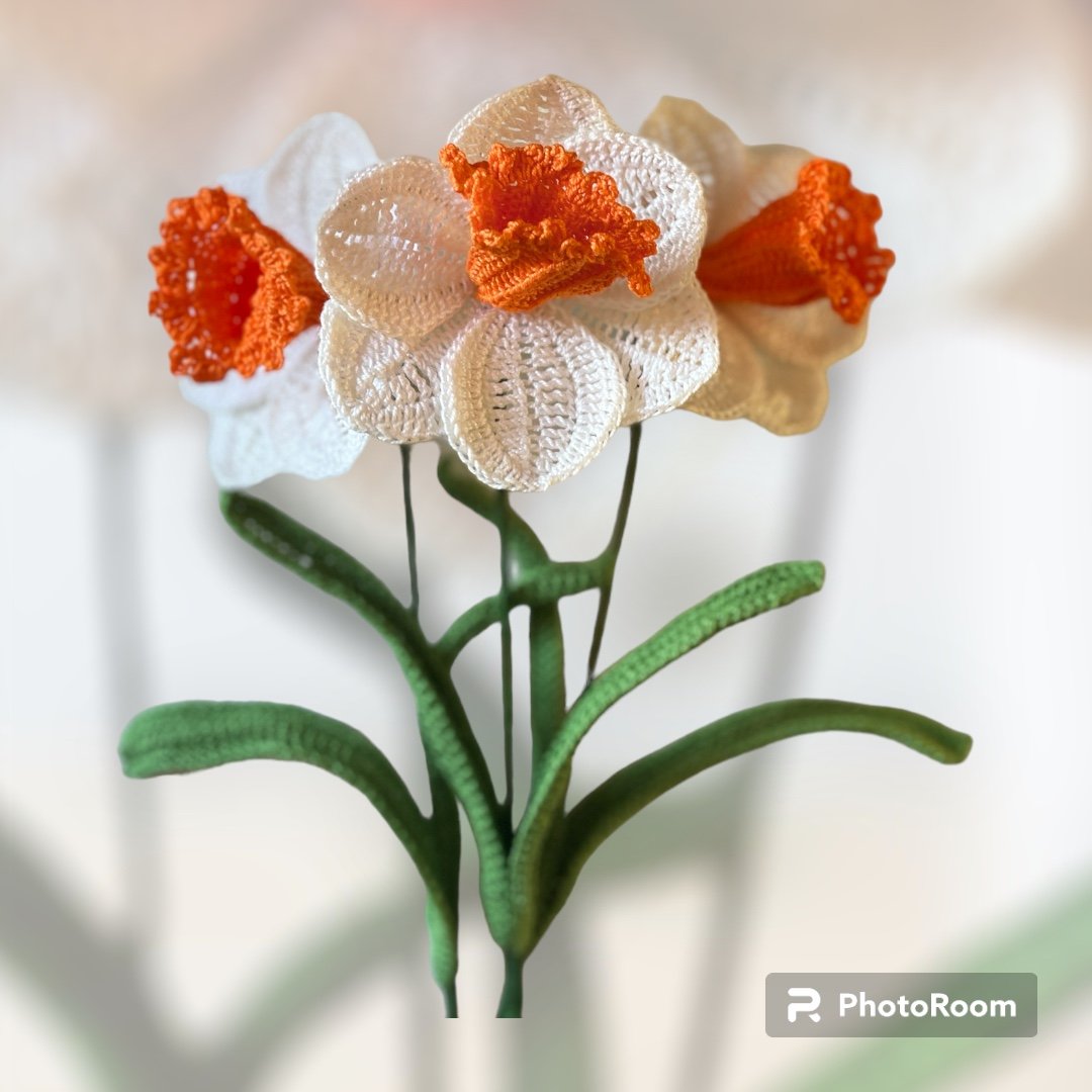 Bloom Into December with the Narcissus