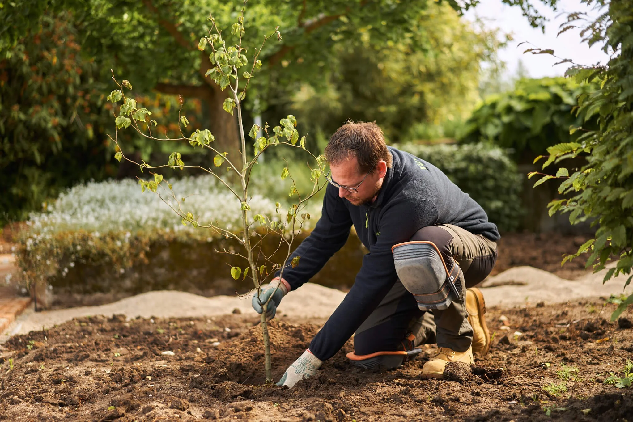 De groene wereld - Viridis -1115.jpg