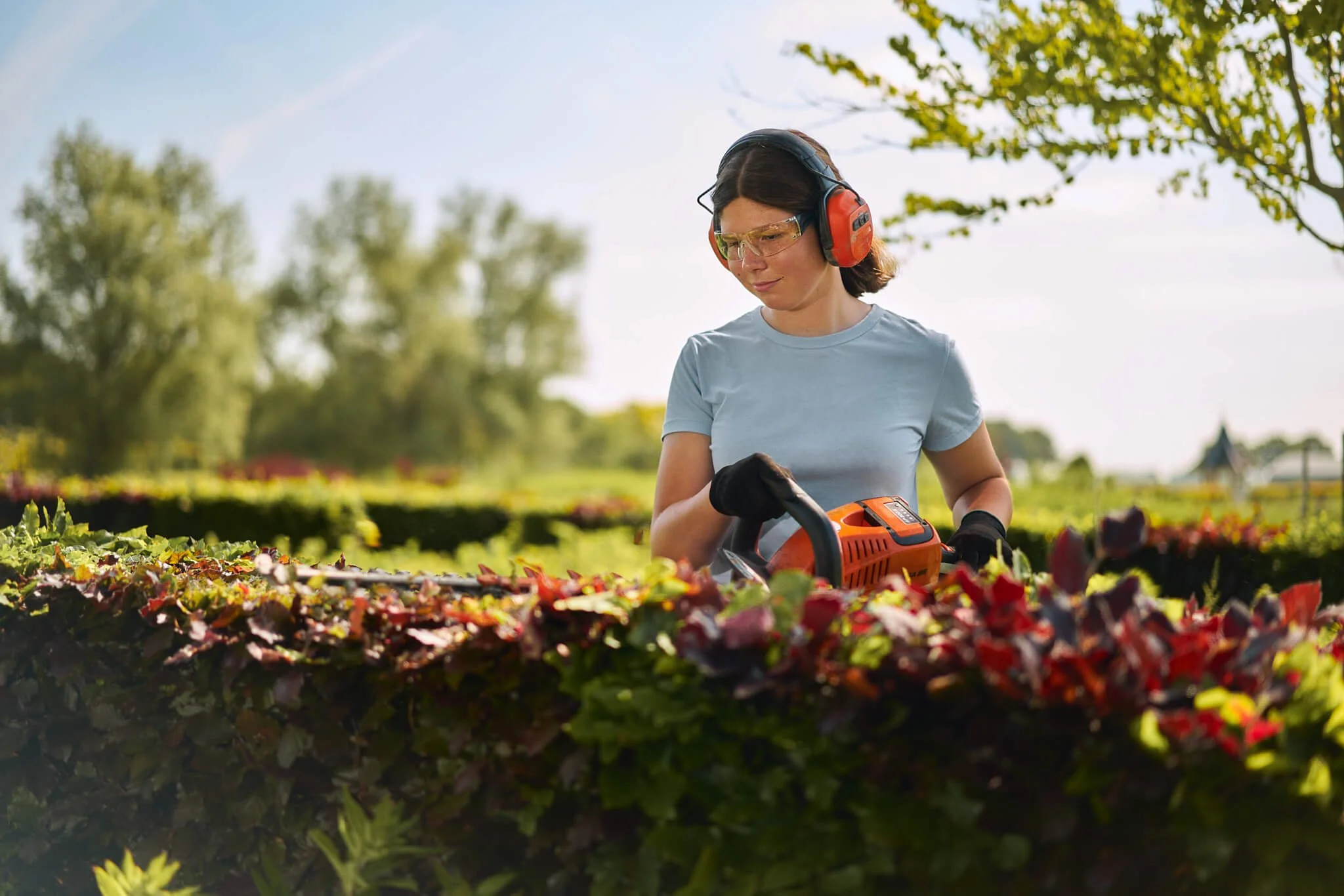 De groene wereld - Viridis -2232.jpg