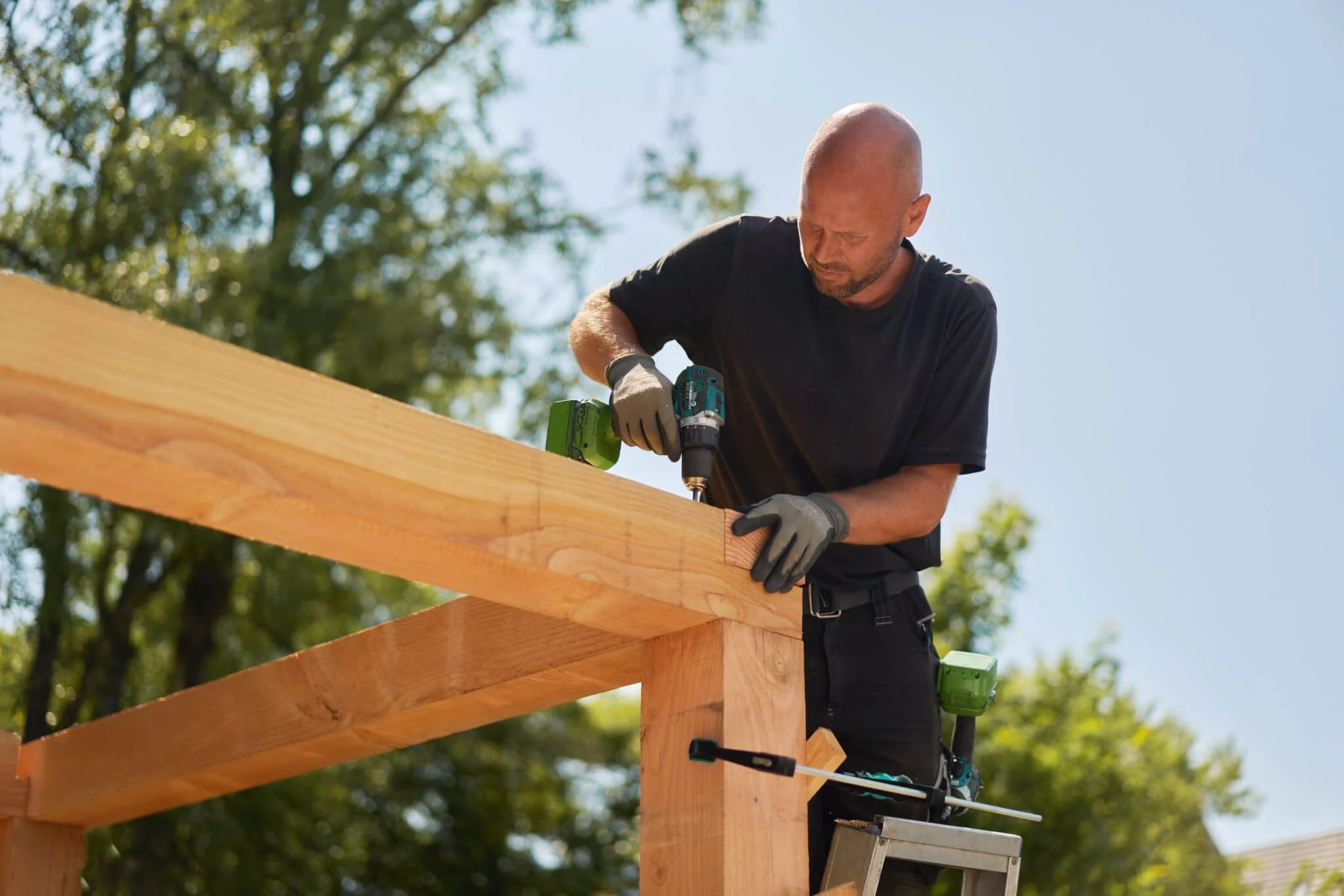 De groene wereld - Viridis -8560.jpg