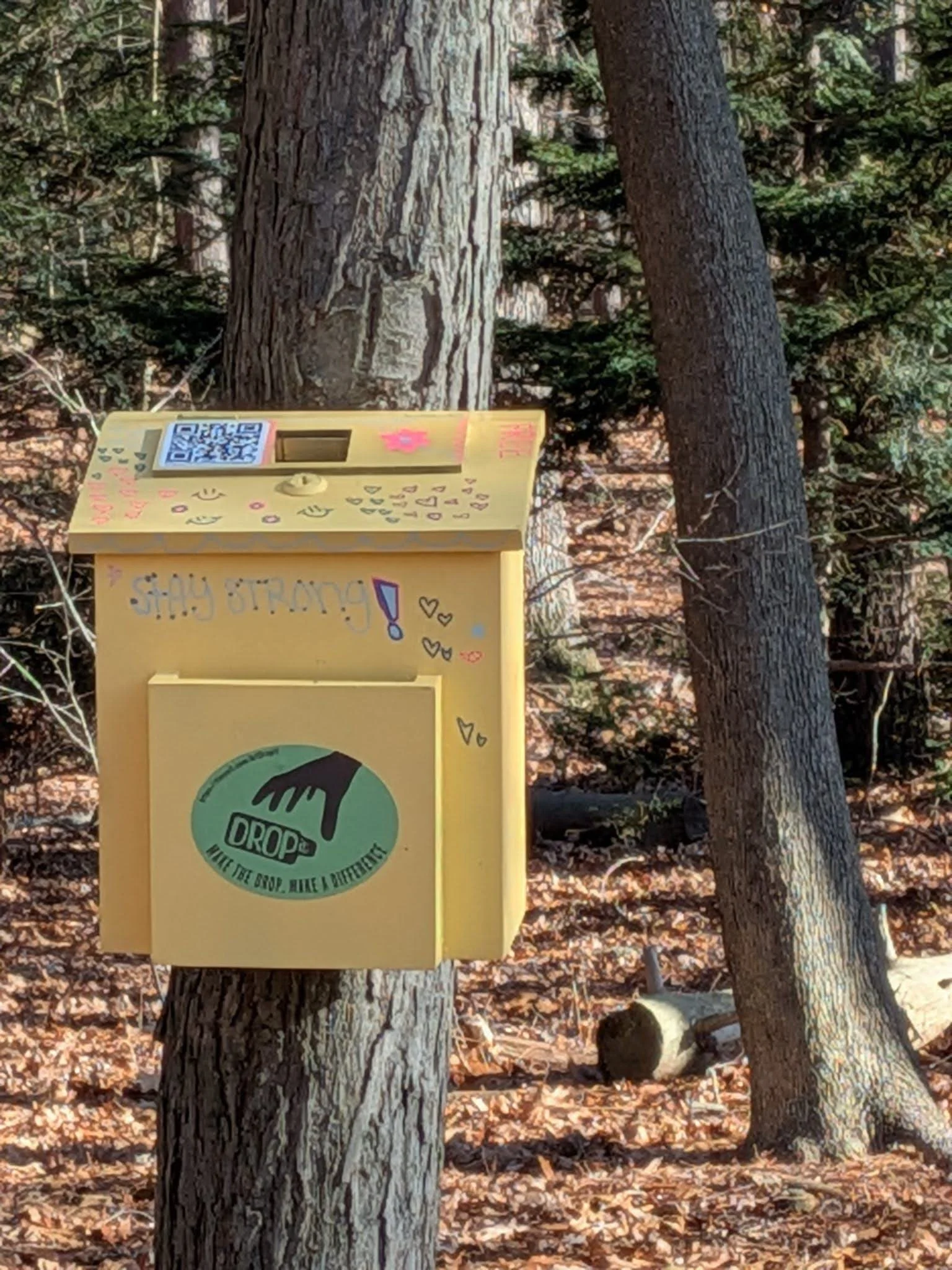 Drop It 
Arlington, Massachusetts

Sixteen Arlington Students About Prevention (or ASAP for short) decided to build five lock boxes for the purpose of collecting discarded vaping materials from neighborhood woods and playgrounds. The ASAP students ho