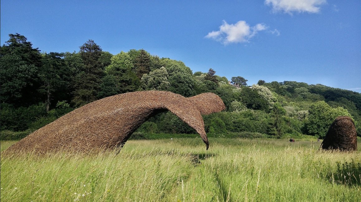 Large sculpture resembling a whale, made of intertwined metal branches, in a grassy field with trees and hills in the background under a blue sky with a few clouds.