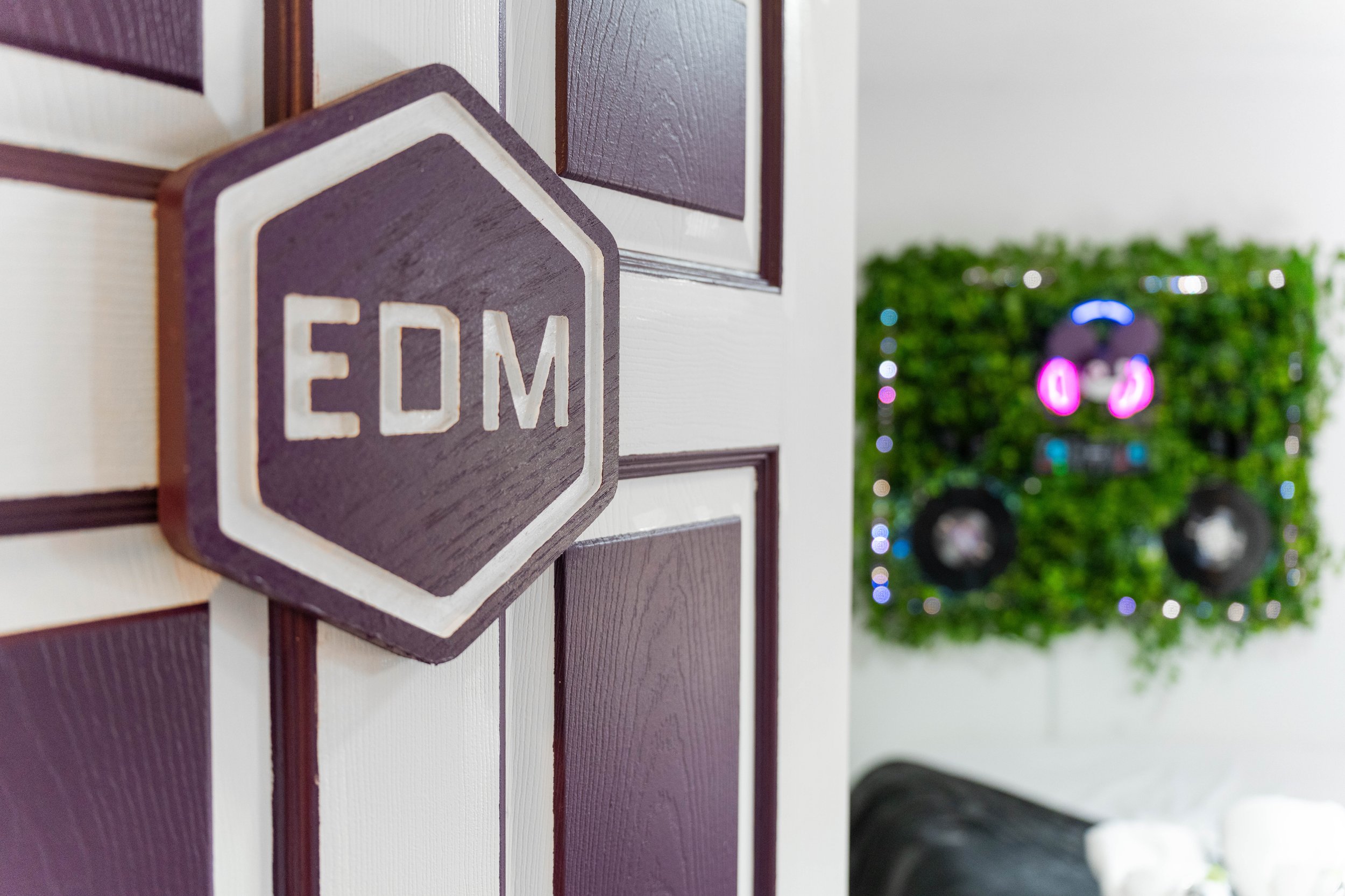 BNB - EDM Room Door_.jpg