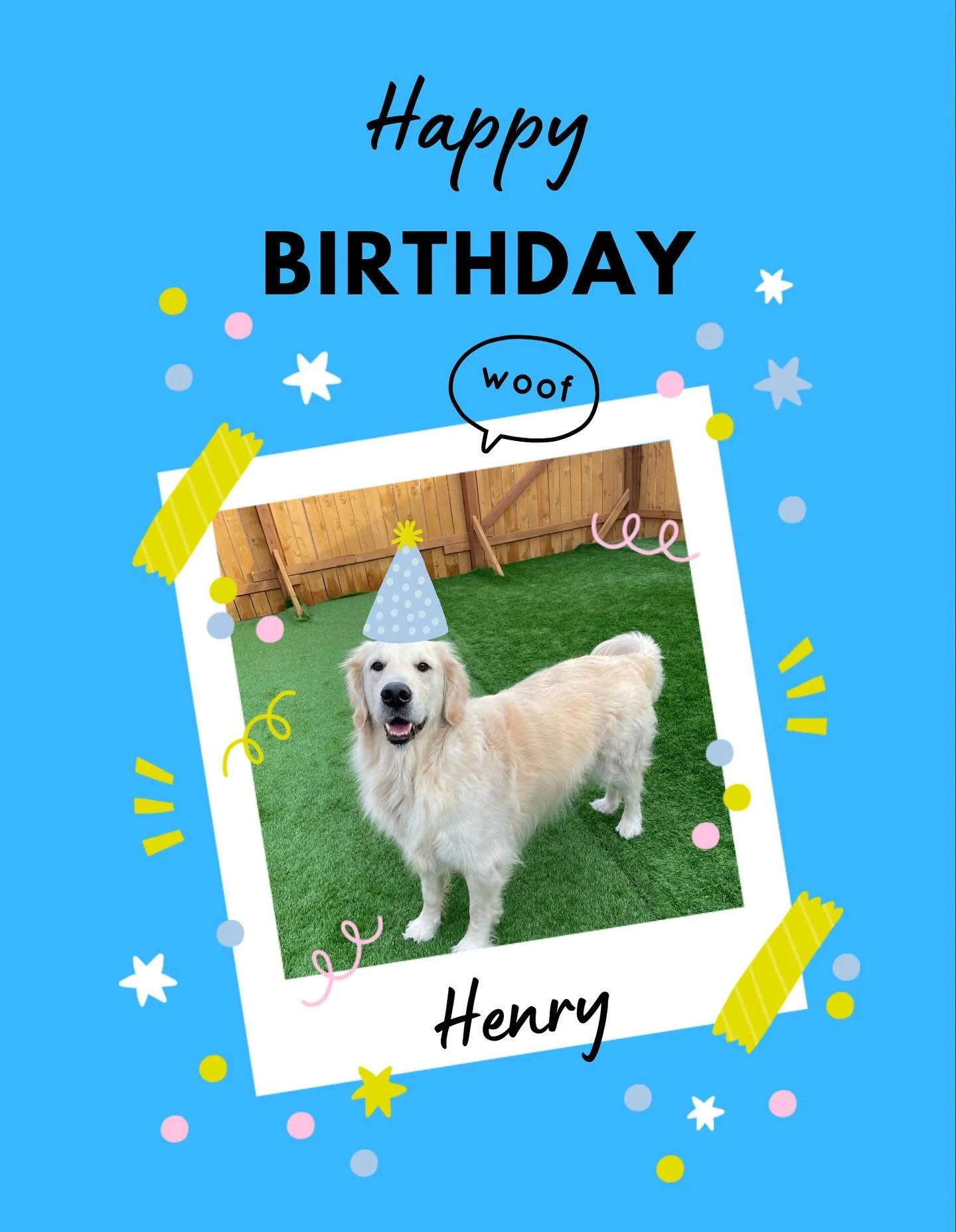 Help us wish our best bud Henry a very special birthday! 🎉 🐶 We love you buddy!