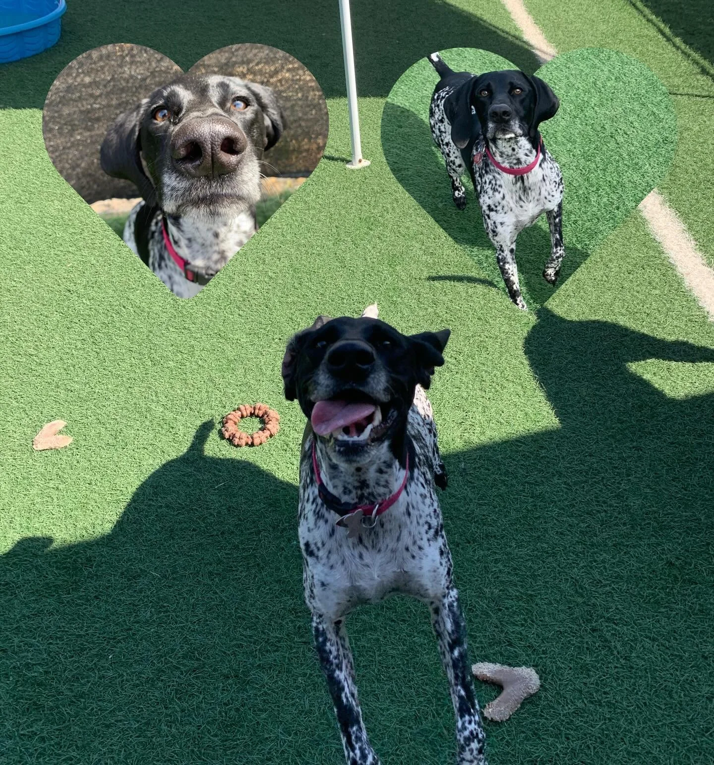 Last but definitely not least happy belated birthday Oaklee! We love you so much sweet girl and hope your birthday was amazing! ❤️