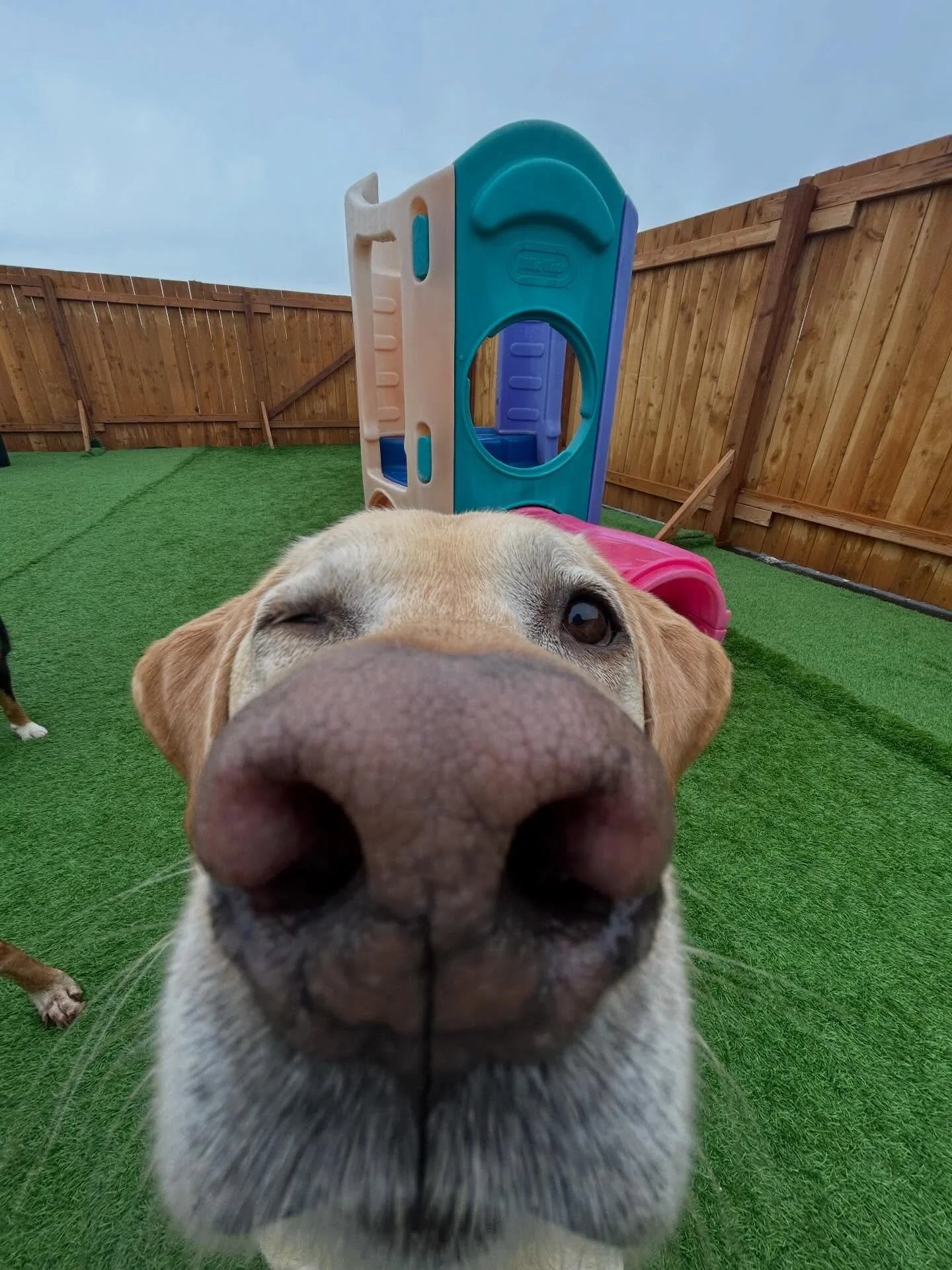 0.5 lens is way too fun 😂