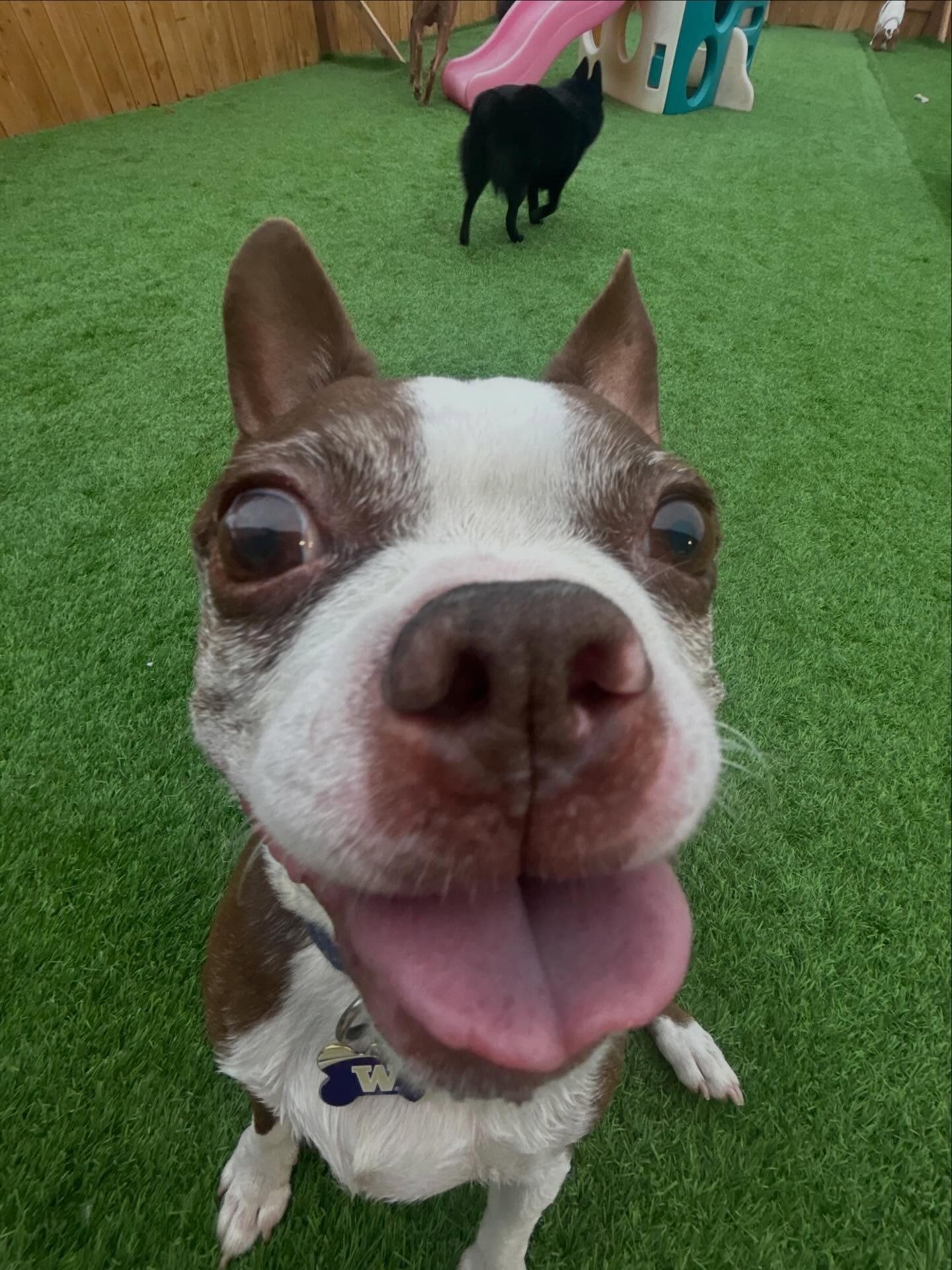 0.5 lens shenanigans pt. 3 😂