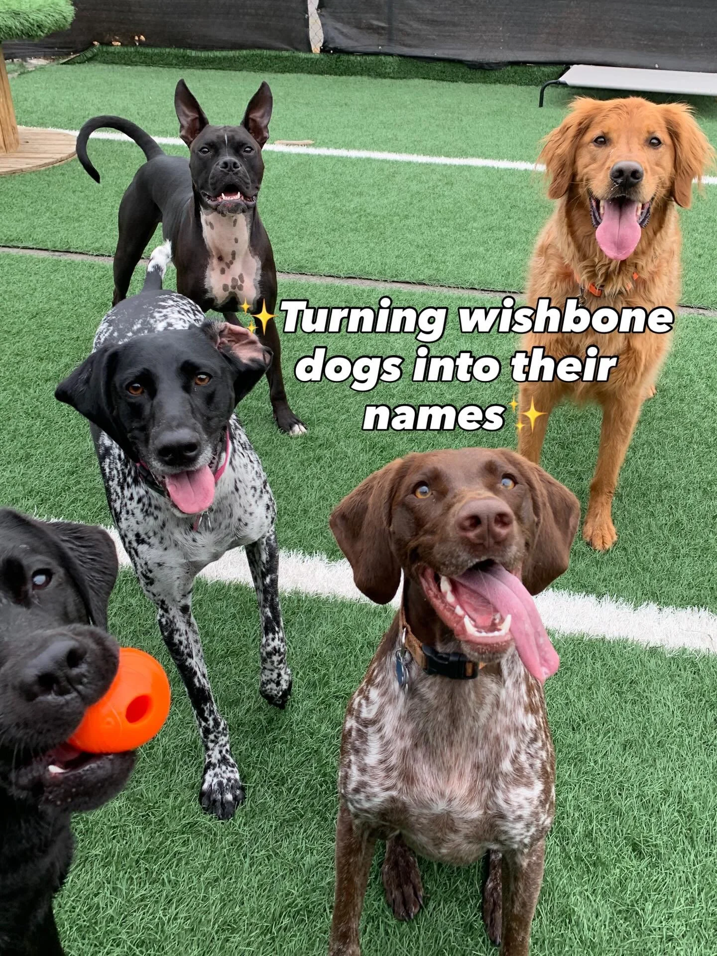 This was a fun one to make 😂