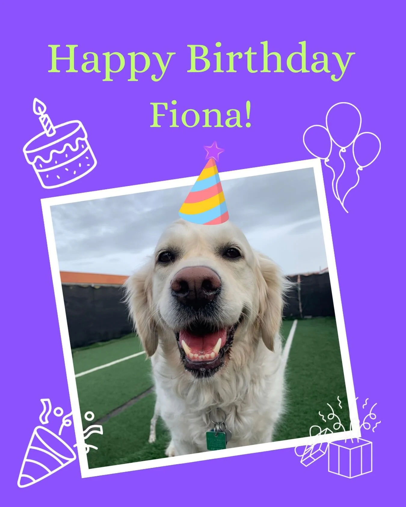 Happy birthday to our sweet Fiona, who turns 5 today! 🎉 We hope your special day is overflowing with love and all the delicious treats you can imagine 🥳🎉🤩