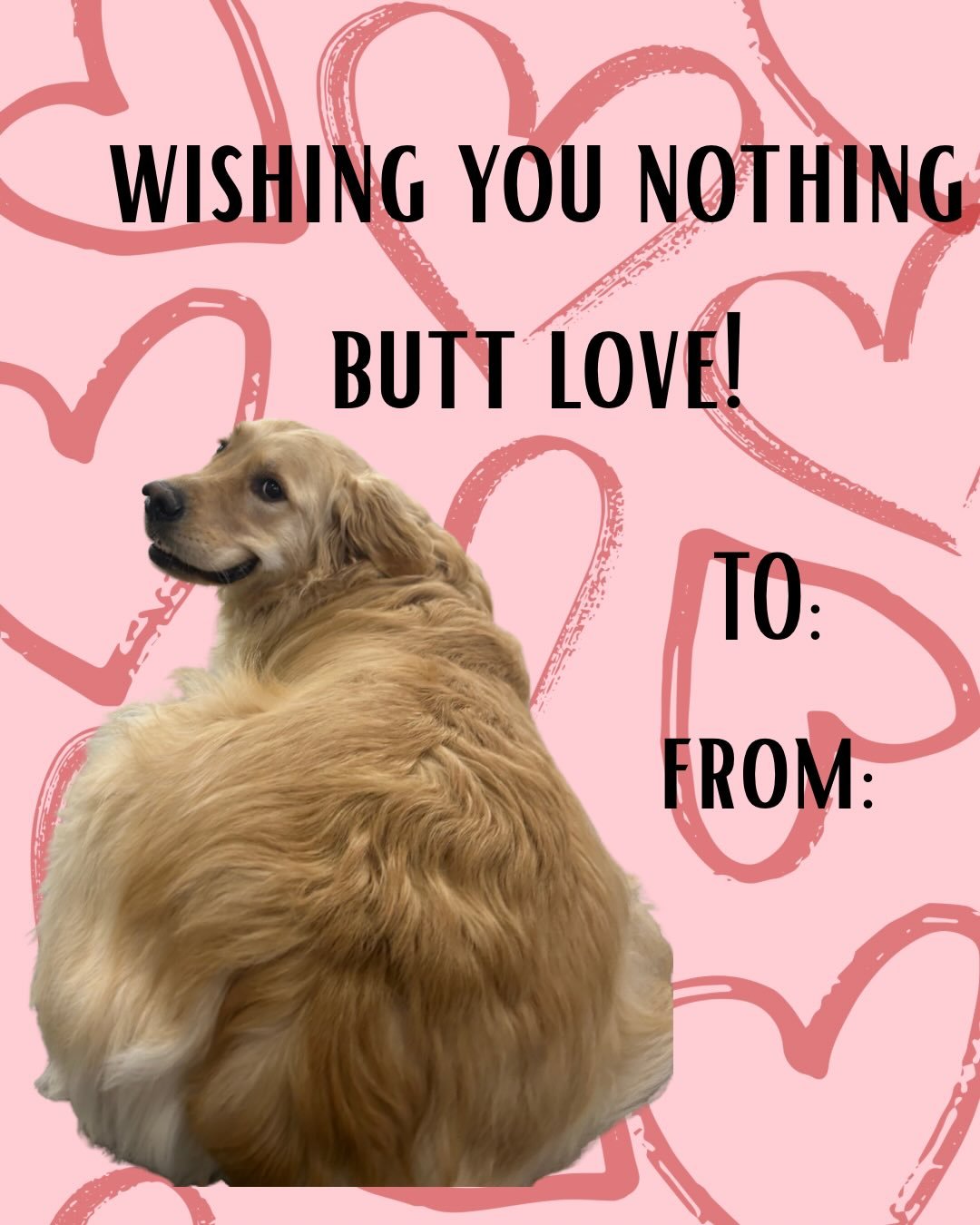Still haven&rsquo;t asked someone to be your valentine? Wishbone dogs has got you covered 🤩💌