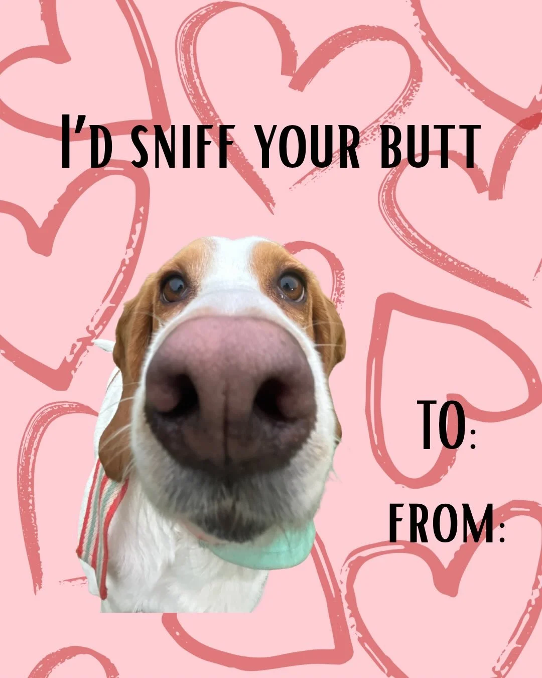 Valentine&rsquo;s Day cards pt. 2

I dare you to send these to your crush 😉💌