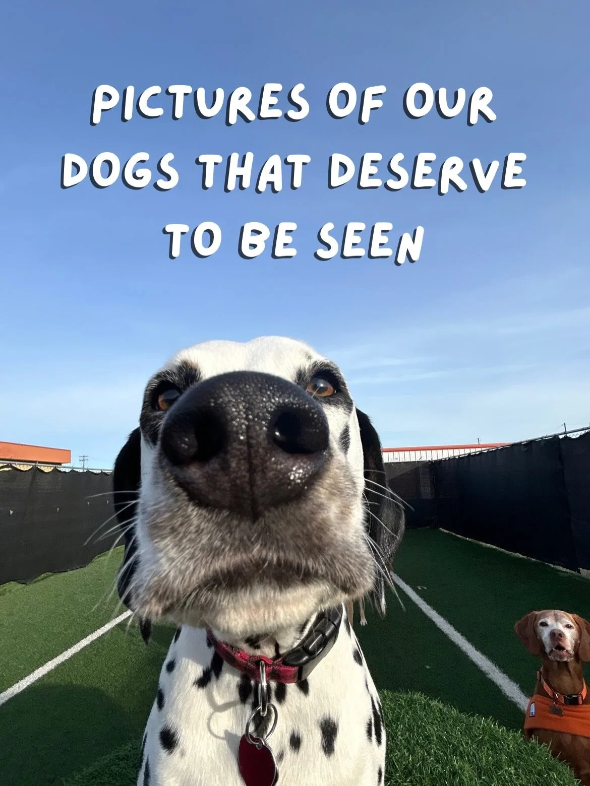 Enjoy these beautiful pictures 🤩