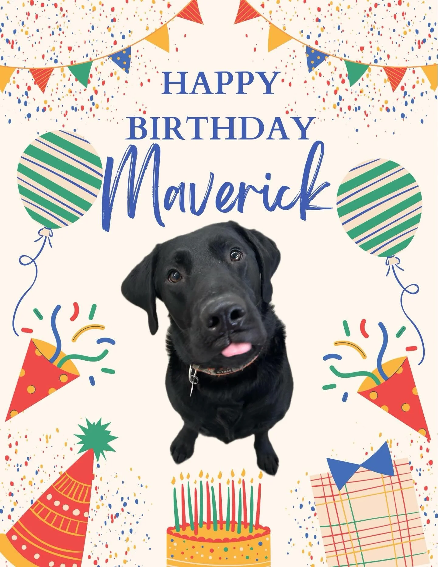 Happy birthday Maverick Goose! We love you buddy!!! We get to spend all day with him playing fetch ❤️🎾