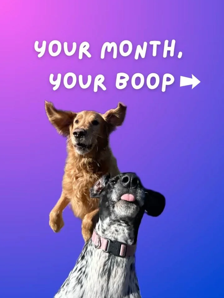 Comment what boop you got! 👃🏼🤩