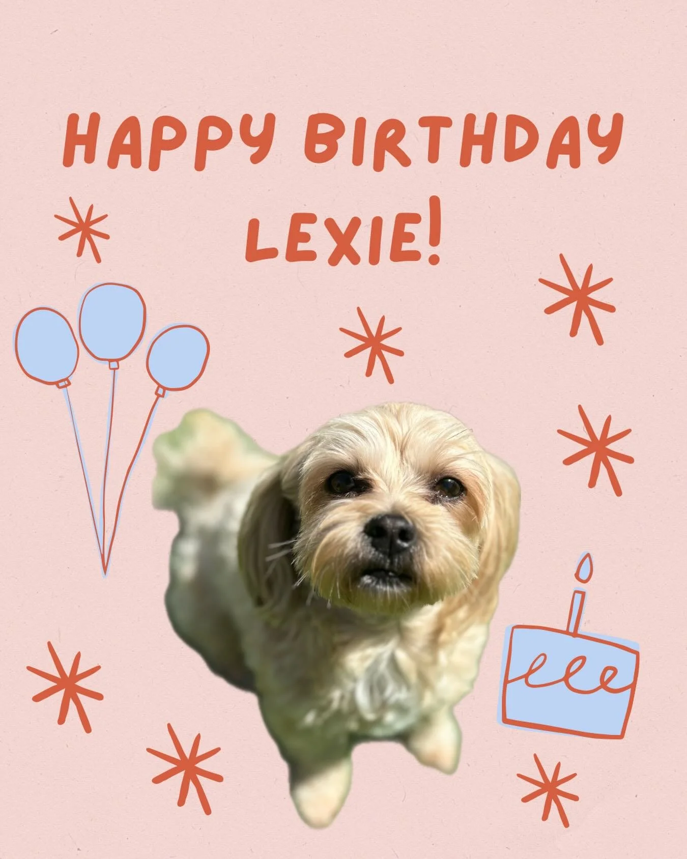 Lexie turning 3 today! Happy birthday sweet girl! We get to shower her with love and lots of treats! ❤️🎉🐾