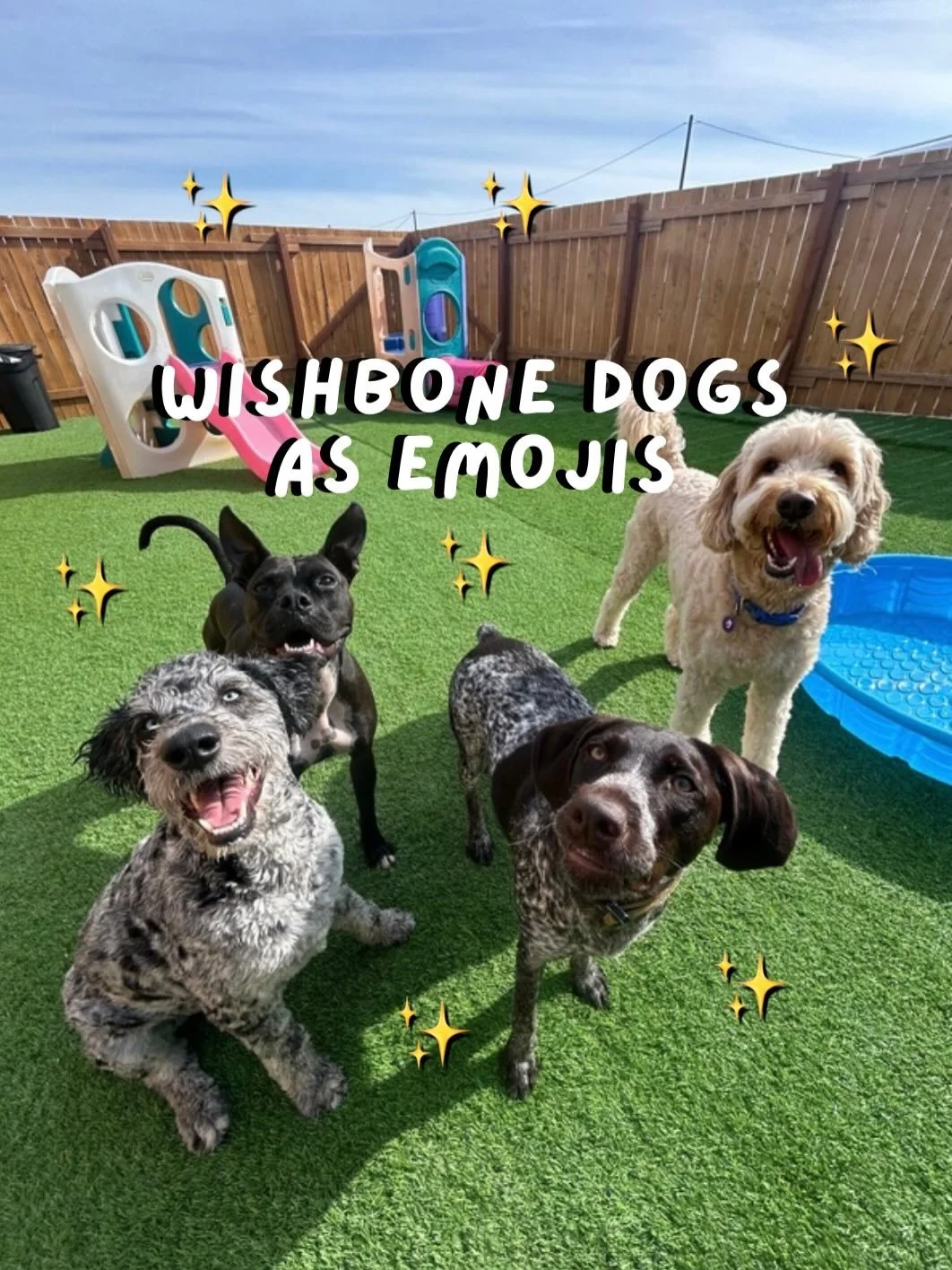 Wishbone dogs as emojis ✨