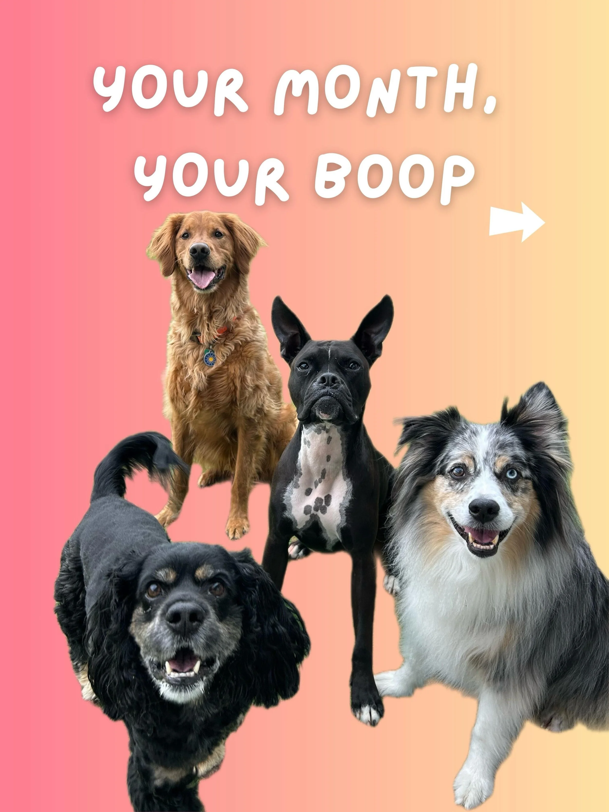 Comment down below which boop you got! 👇🏻