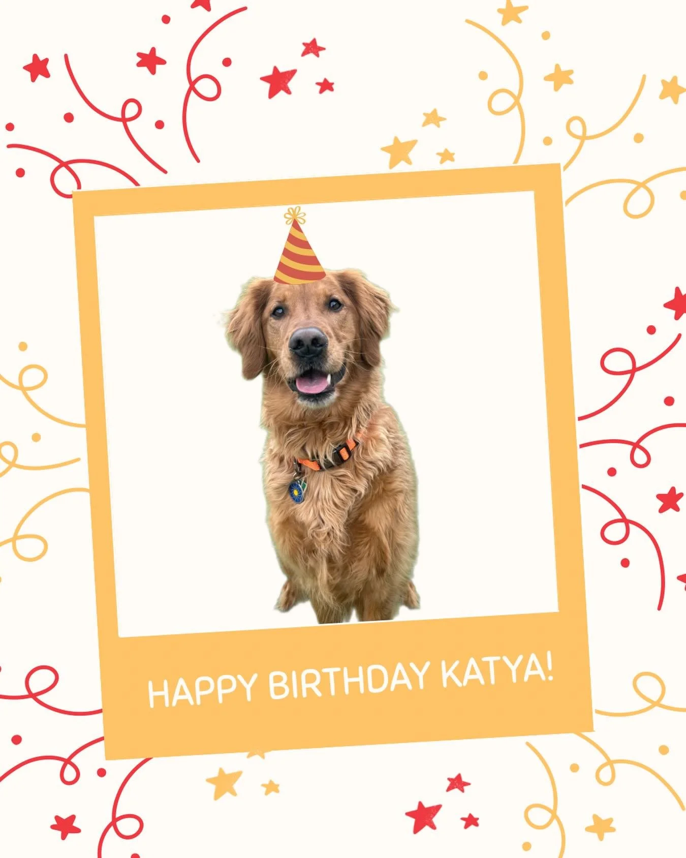 Happy Birthday, Katya! 🎂🐾 Wishing you a day full of treatos, fetch, tail wags, and all the water bottles your heart desires (he loves water bottles) We love you, buddy! ❤️
