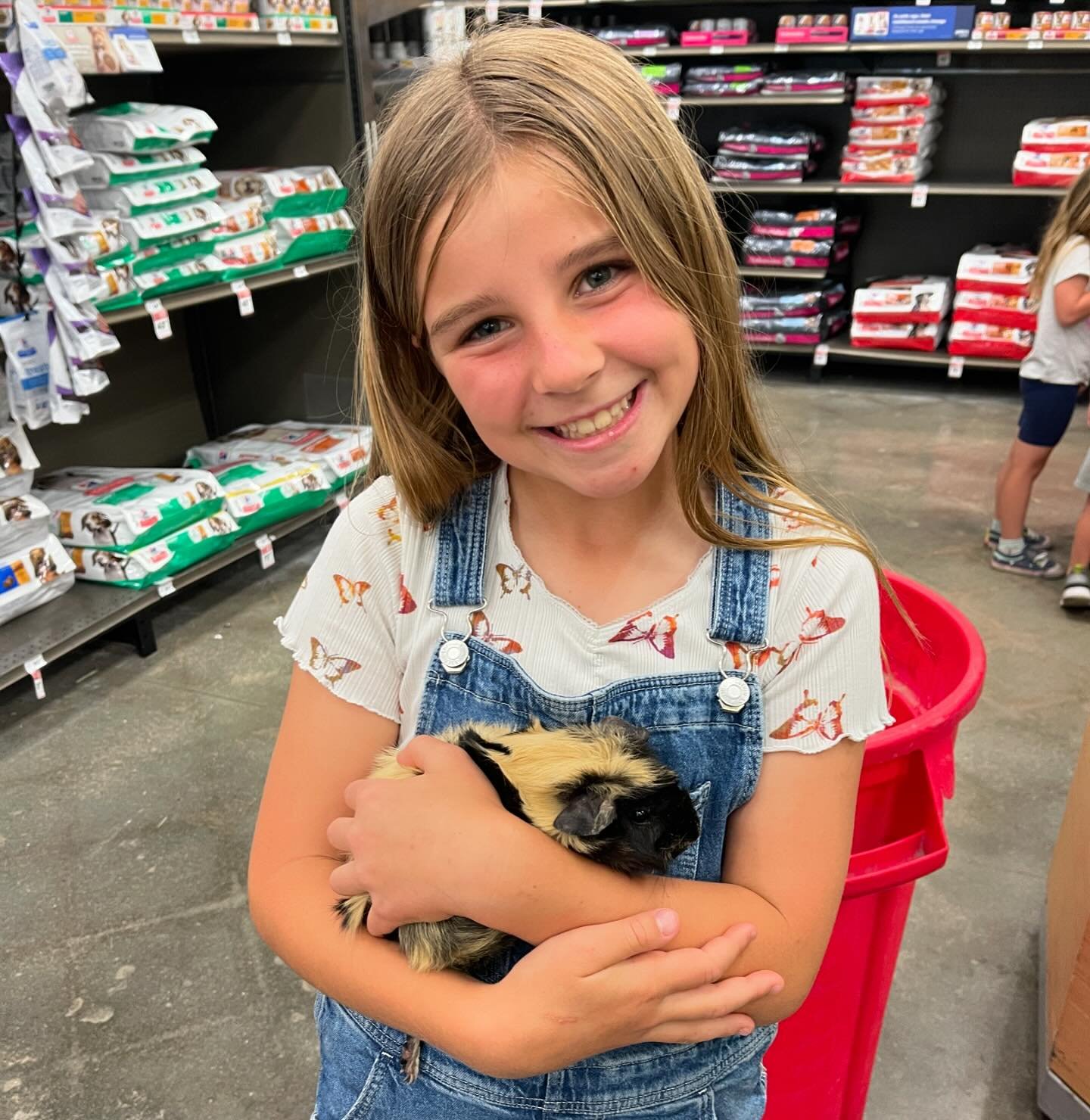 We might be getting a couple guinea pigs 😩😅 Has anyone ever owned them? My nieces promise they will come over and clean but&hellip; we all know I&rsquo;ll be the pooper picker upper 😭