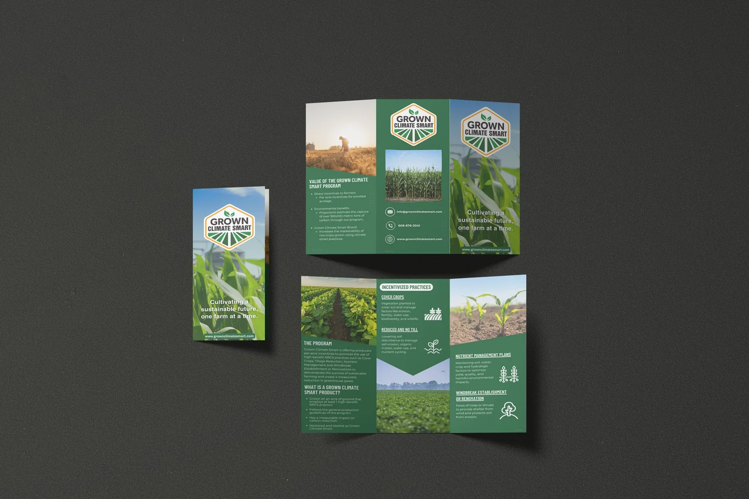 Grown Climate Smart Informational Brochure