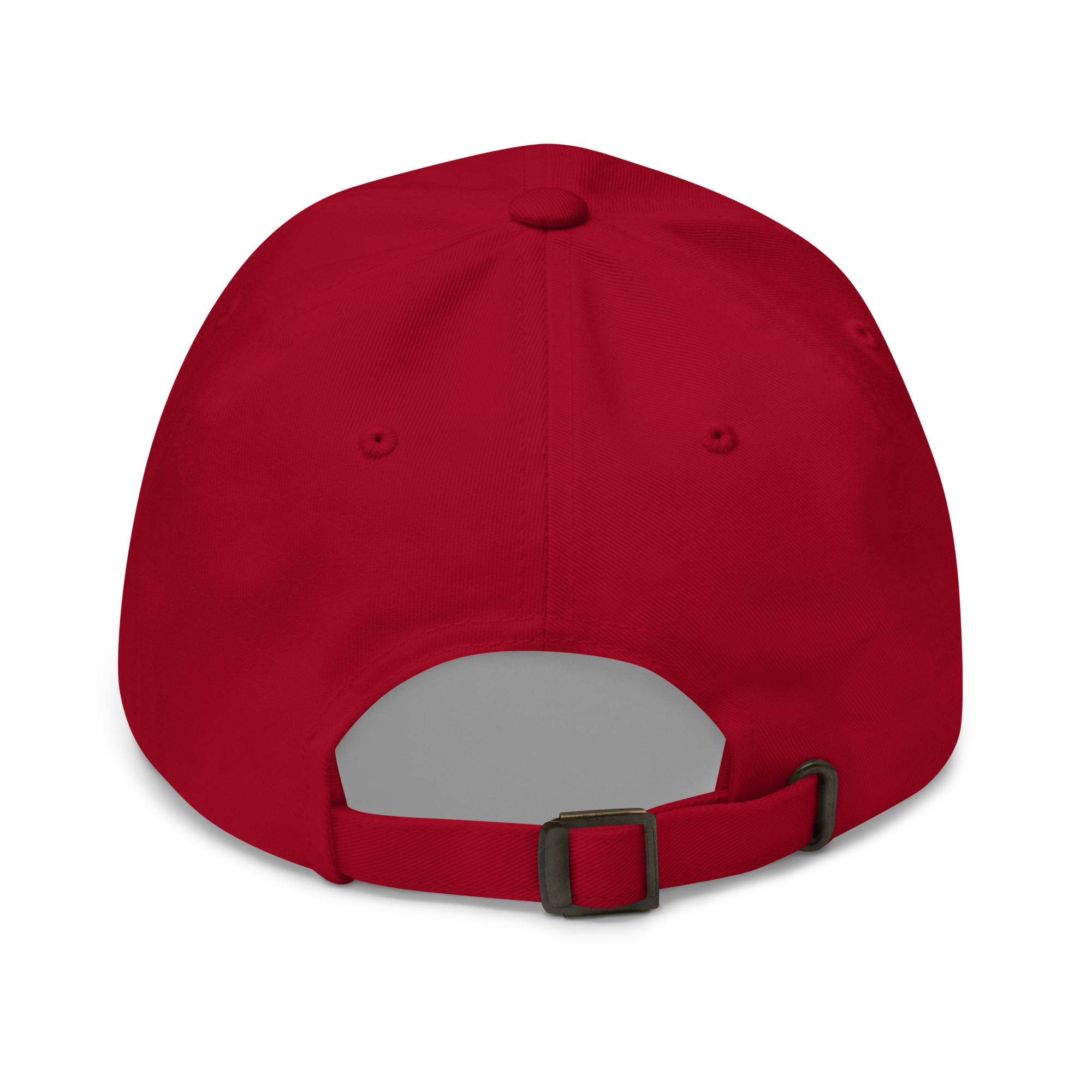 classic-dad-hat-cranberry-back-655bbd6d1bbf6.png