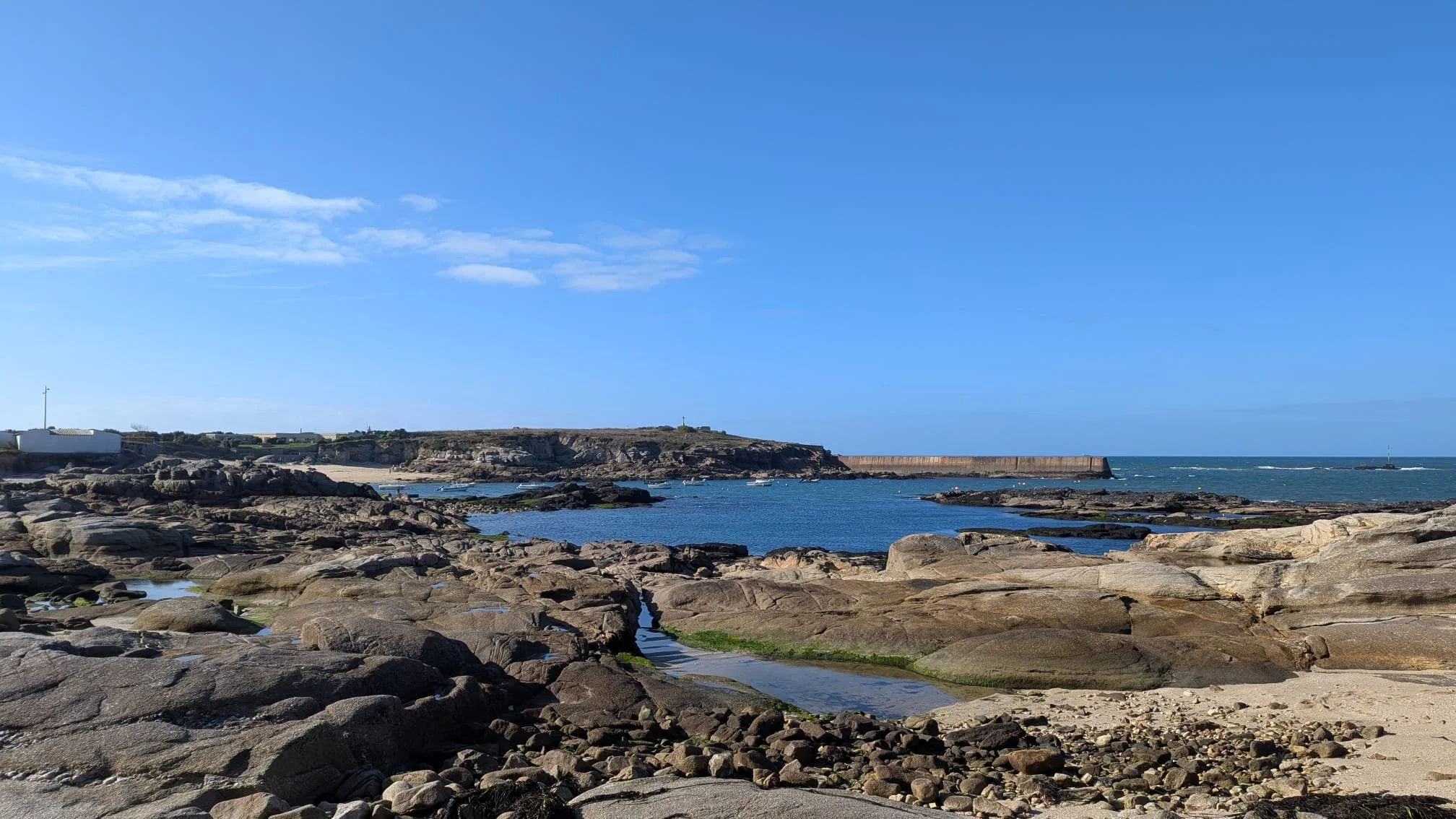 WhatsApp Image 2025-10-05 at 12.58.54.jpeg