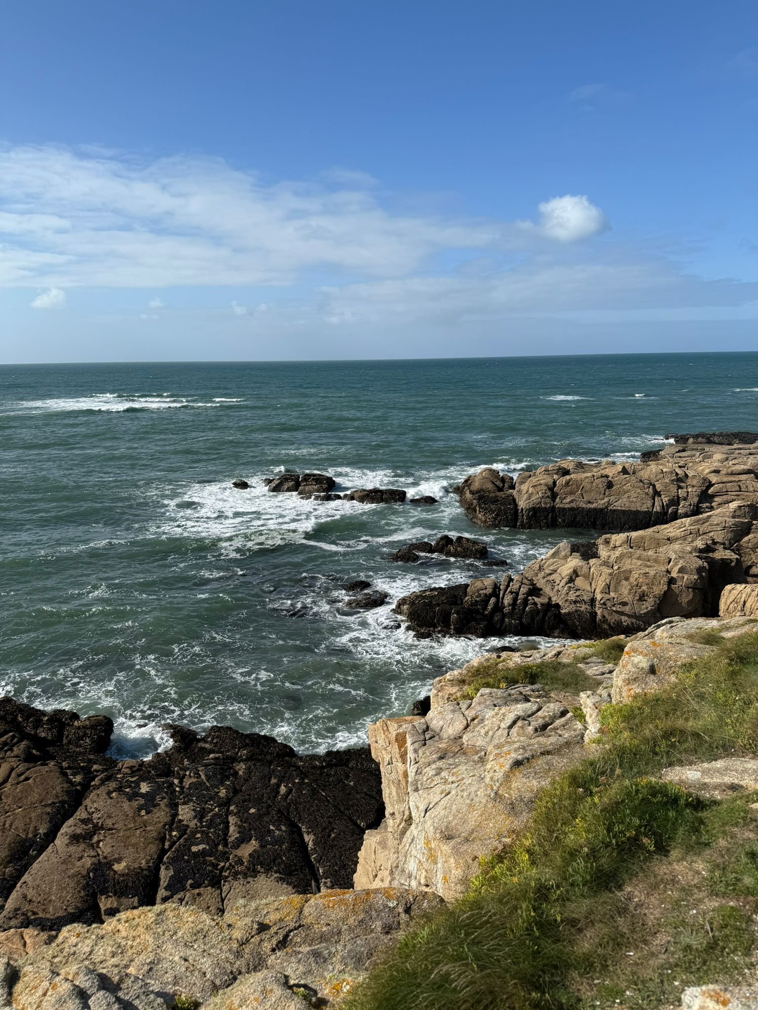 WhatsApp Image 2025-10-05 at 14.33.30.jpeg