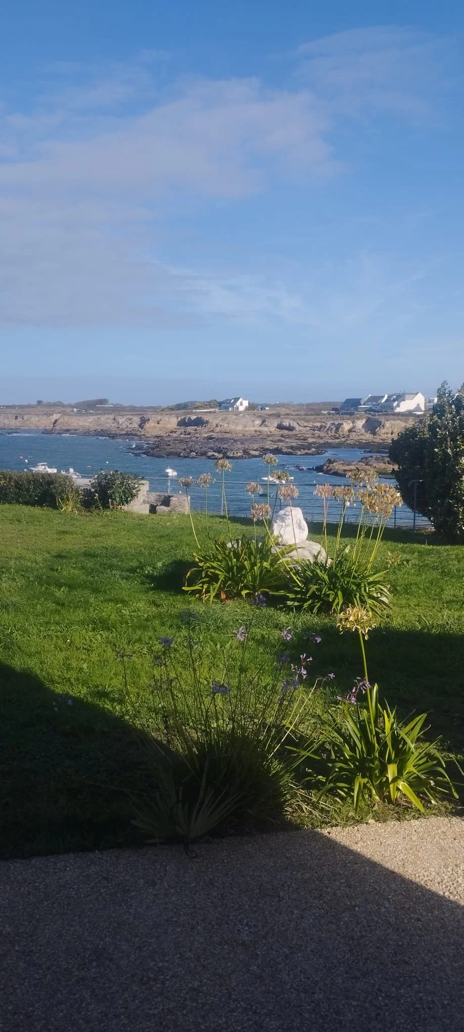 WhatsApp Image 2025-10-05 at 16.50.02.jpeg