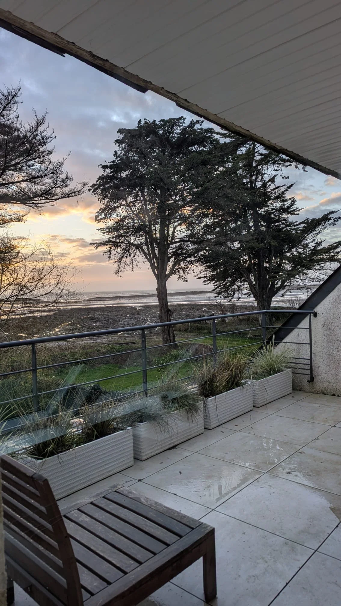 WhatsApp Image 2026-02-01 at 14.20.58 (2).jpeg