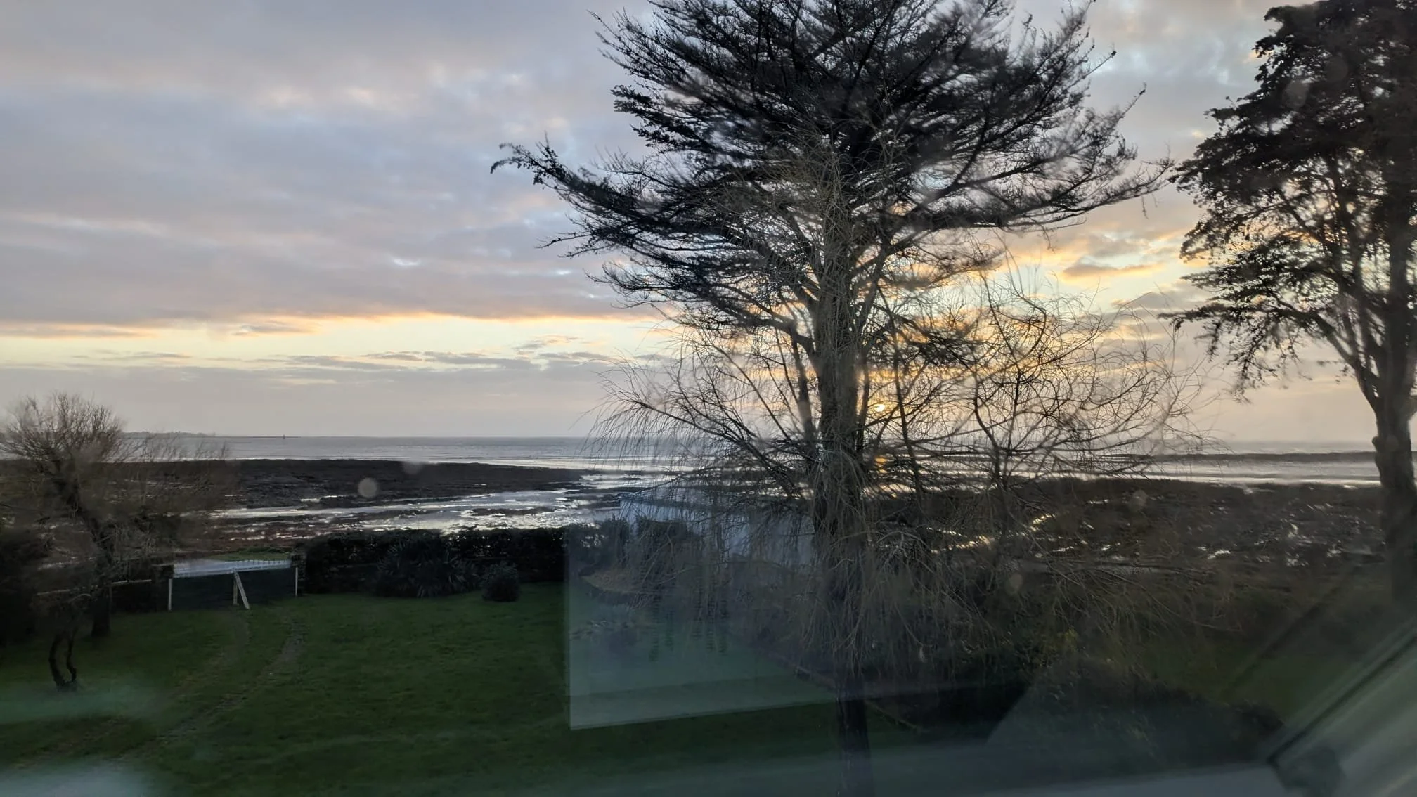 WhatsApp Image 2026-02-01 at 14.20.58 (3).jpeg