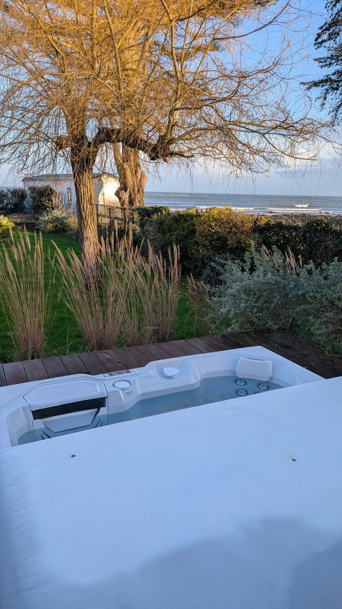 WhatsApp Image 2026-02-01 at 14.20.58.jpeg