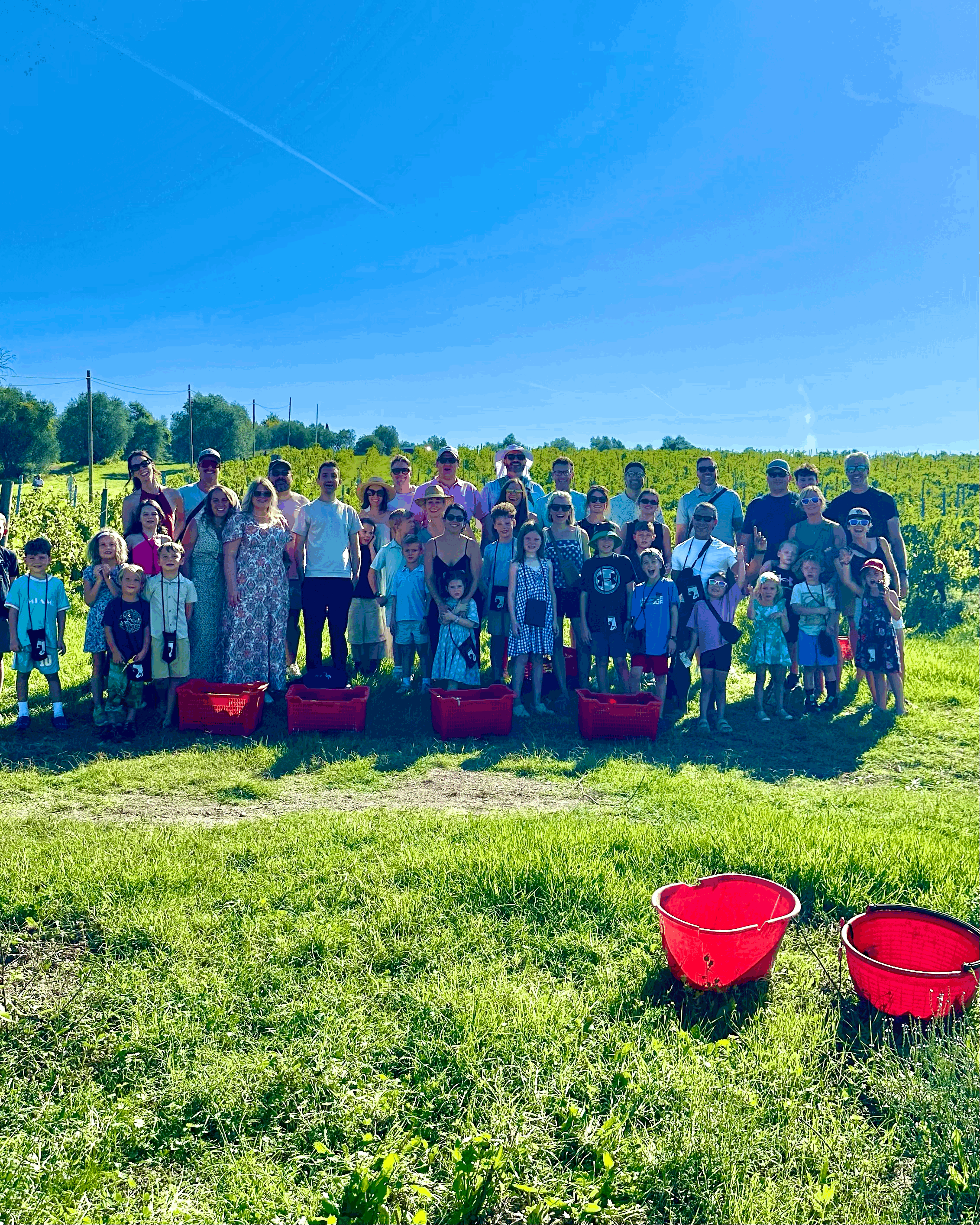 Family Grape Harvest at Fattoria Casalbosco (Sep. 12)