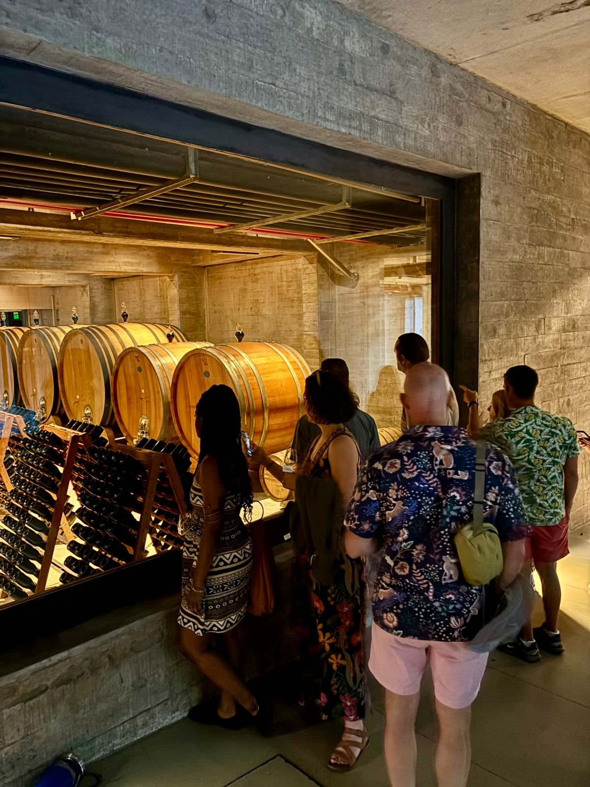 WhatsApp Image 2026-03-13 at 12.35.16 (1).jpeg