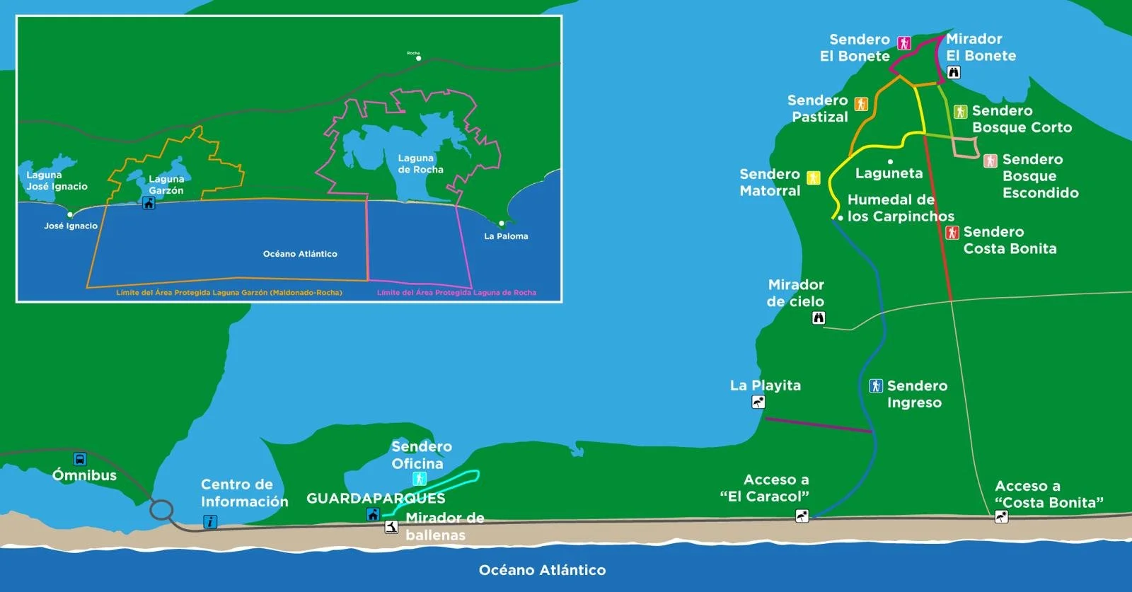 WhatsApp Image 2025-10-27 at 11.06.37 AM.jpeg