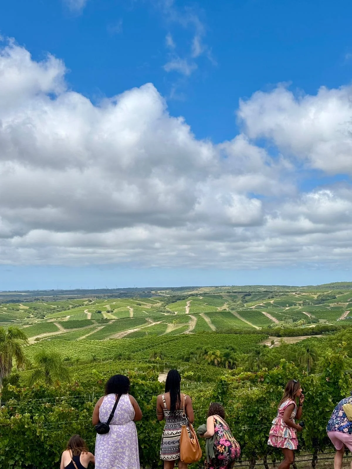 WhatsApp Image 2026-03-13 at 12.35.17 (1).jpeg