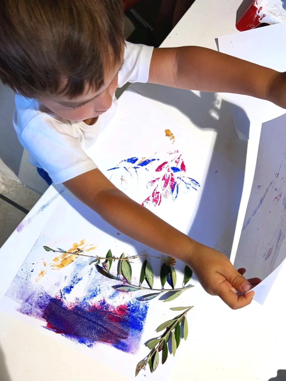 Eco Club (Age 4-5)