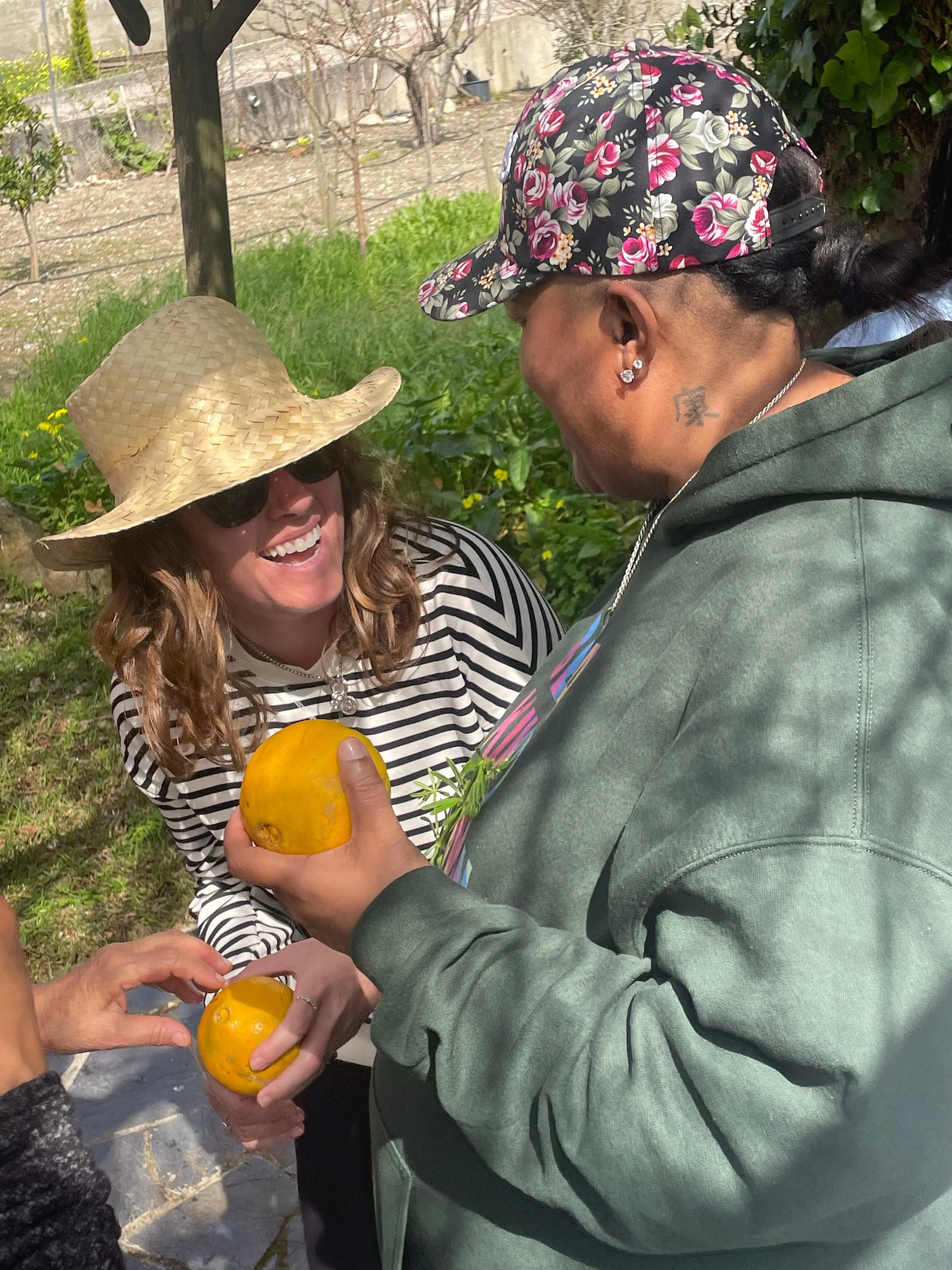 WhatsApp Image 2026-03-16 at 12.48.17.jpeg