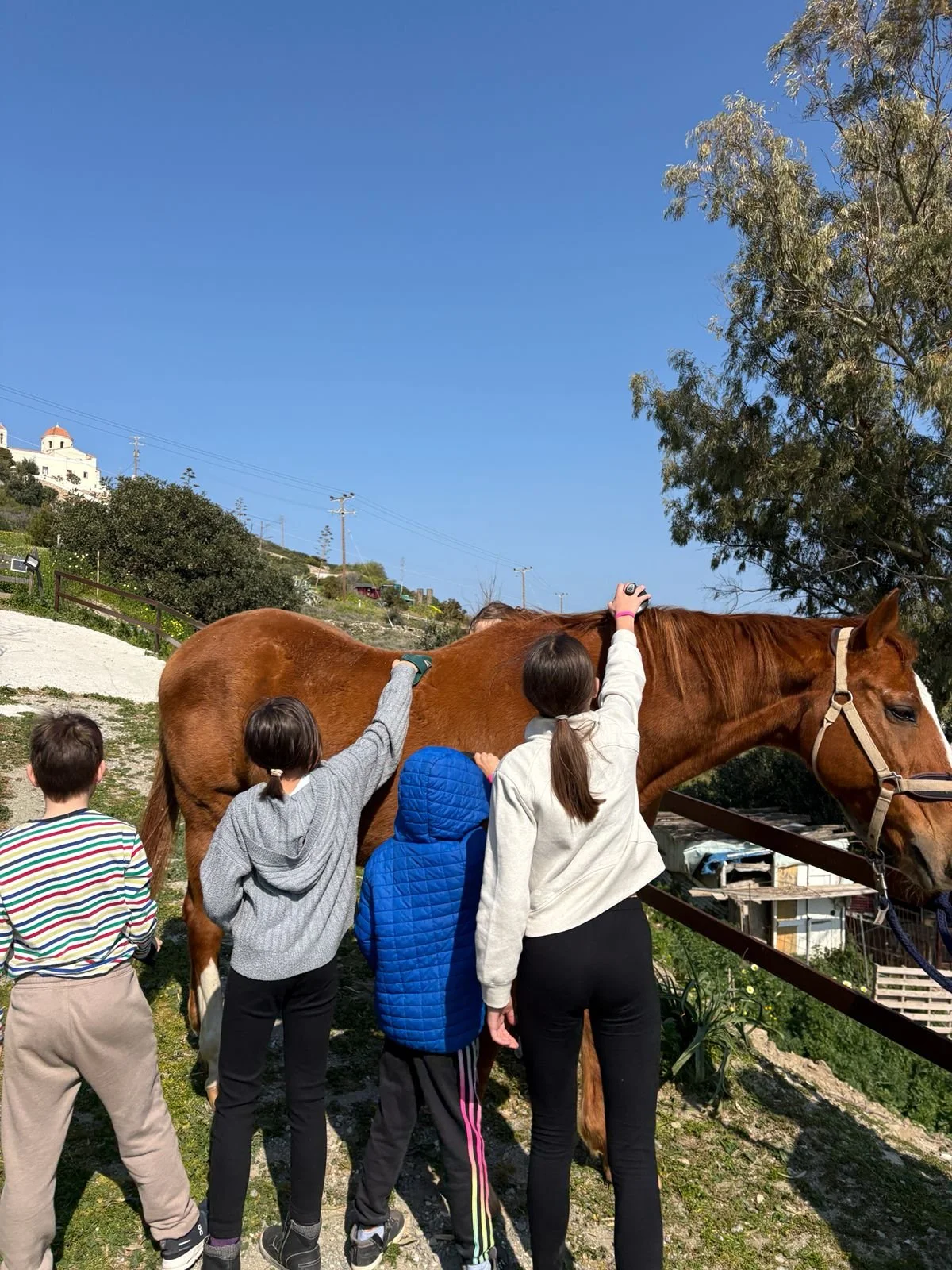 A morning at Alana Farm: Games, therapeutic horse-riding and picnic (May 23)