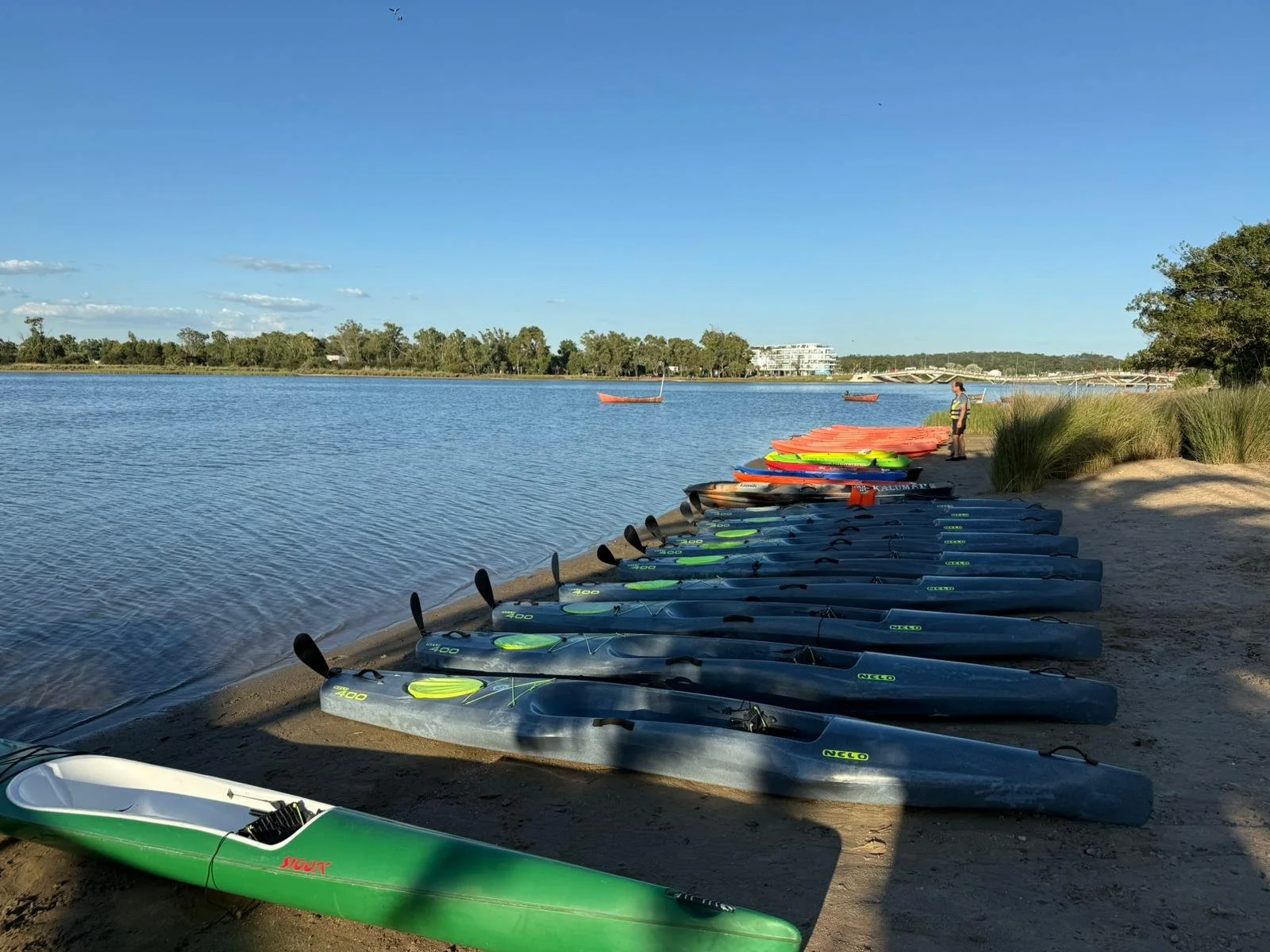 WhatsApp Image 2025-12-05 at 1.07.05 PM.jpeg