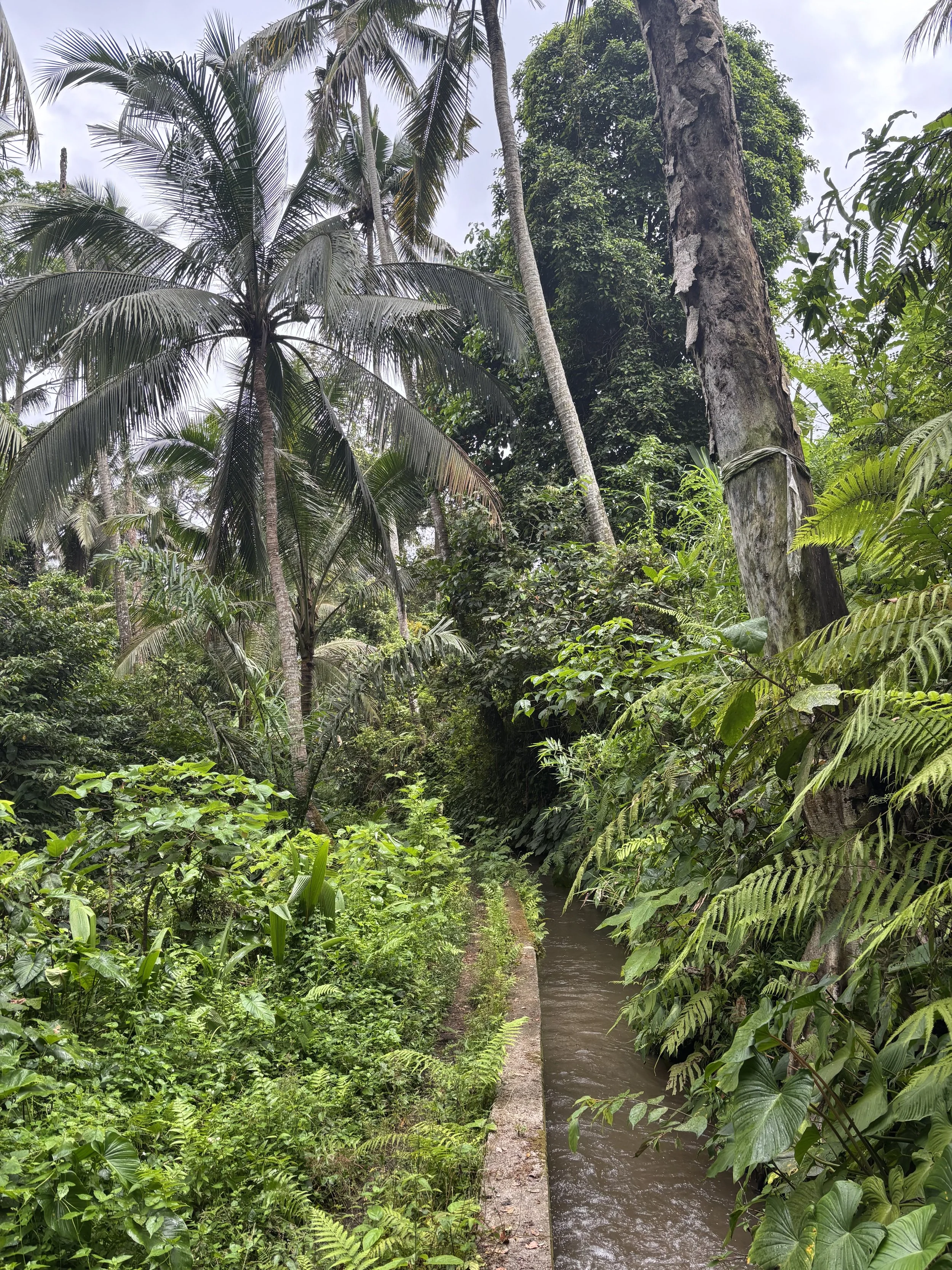 The Hidden Trails & Silver Craft Experience (Jun. 8)