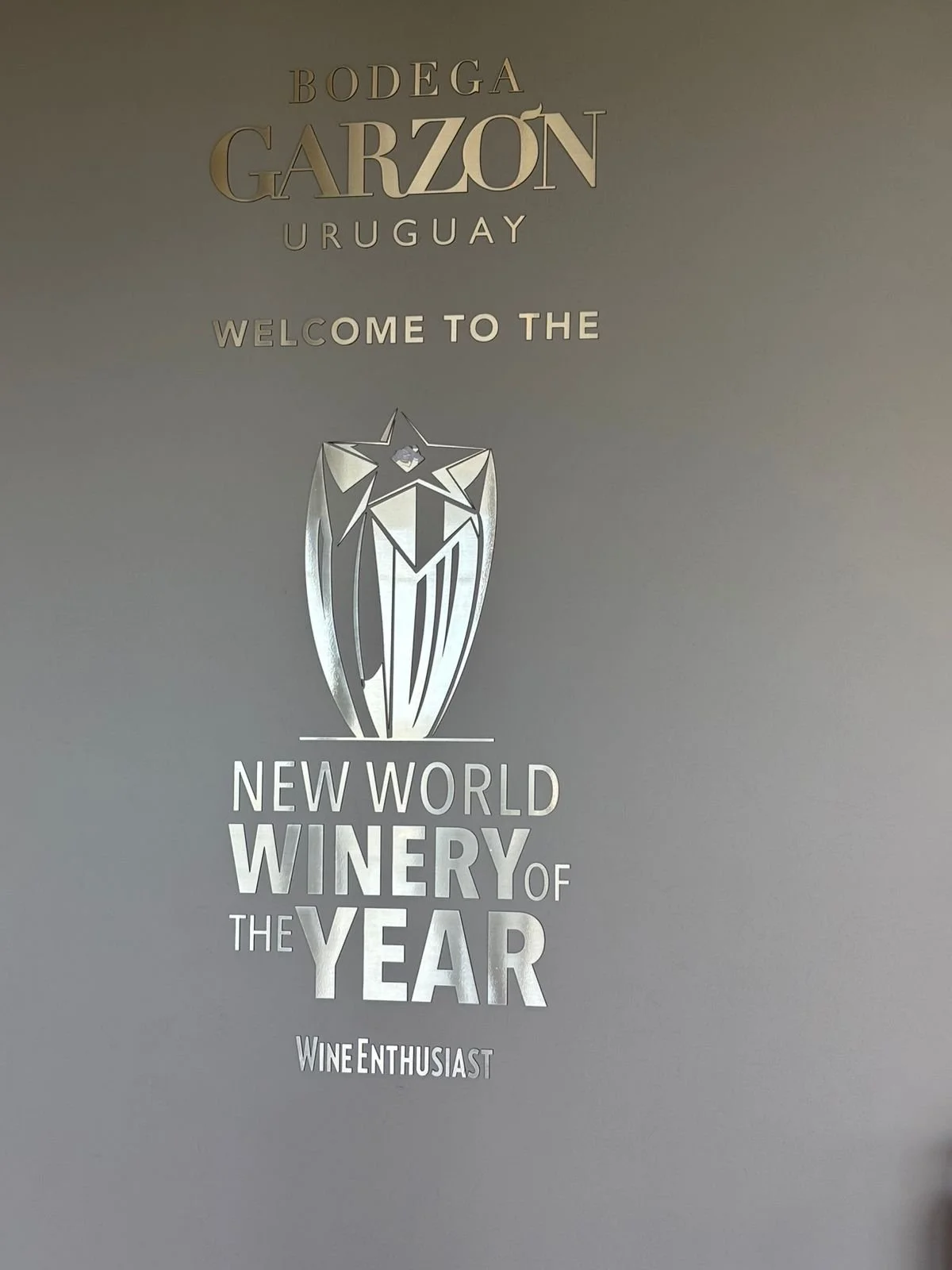 WhatsApp Image 2026-03-13 at 12.36.12.jpeg