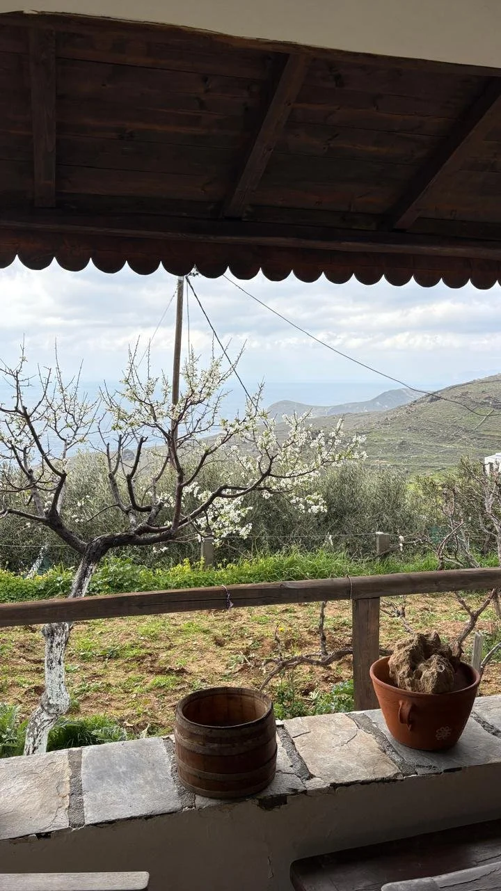 WhatsApp Image 2026-04-02 at 9.56.04 AM.jpeg