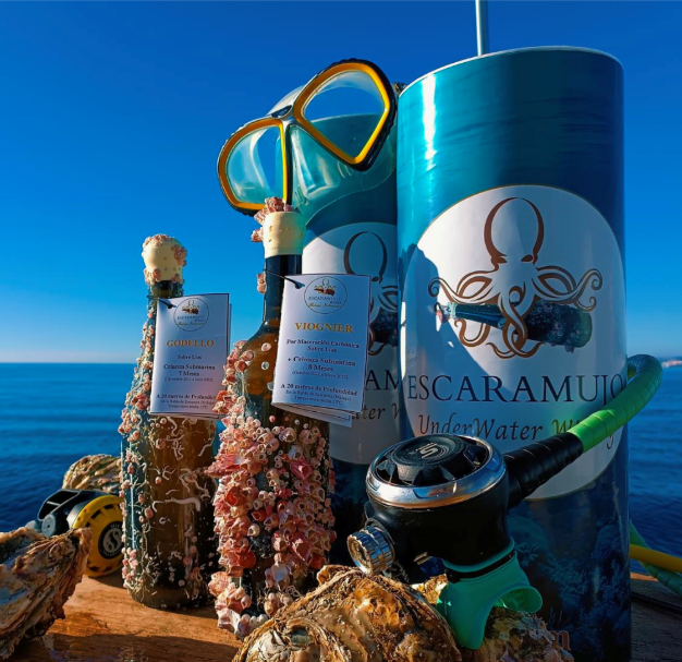Escaramujo Underwater Wine Experience