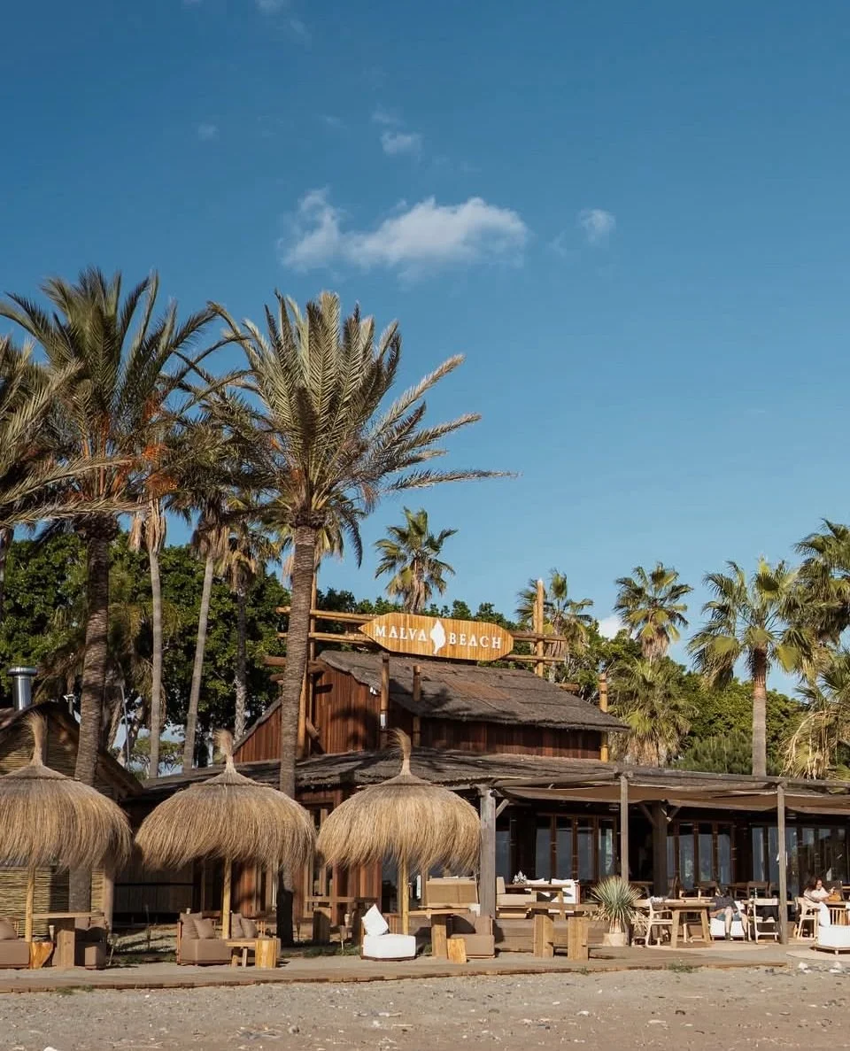 WhatsApp Image 2026-03-04 at 12.36.27.jpeg